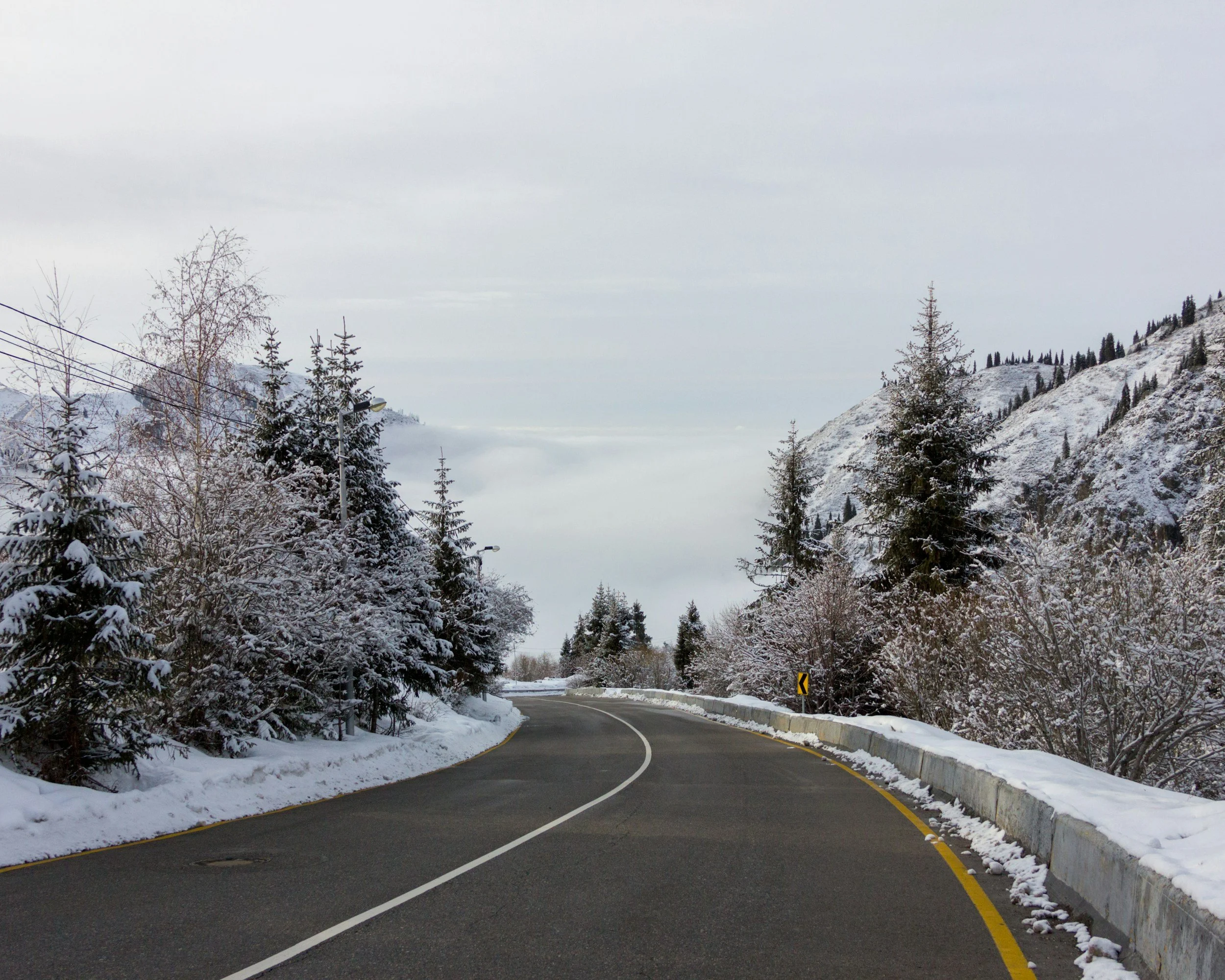 A winding mountain road bordered by snow-covered trees and a rocky mountain slope.