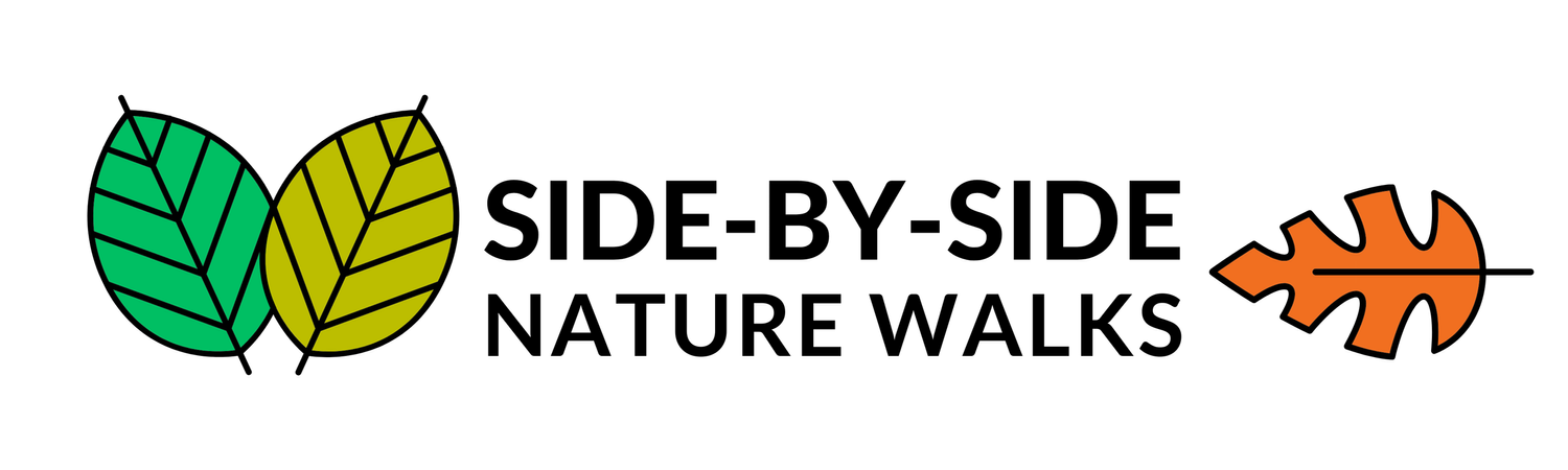 Side by Side Nature Walks