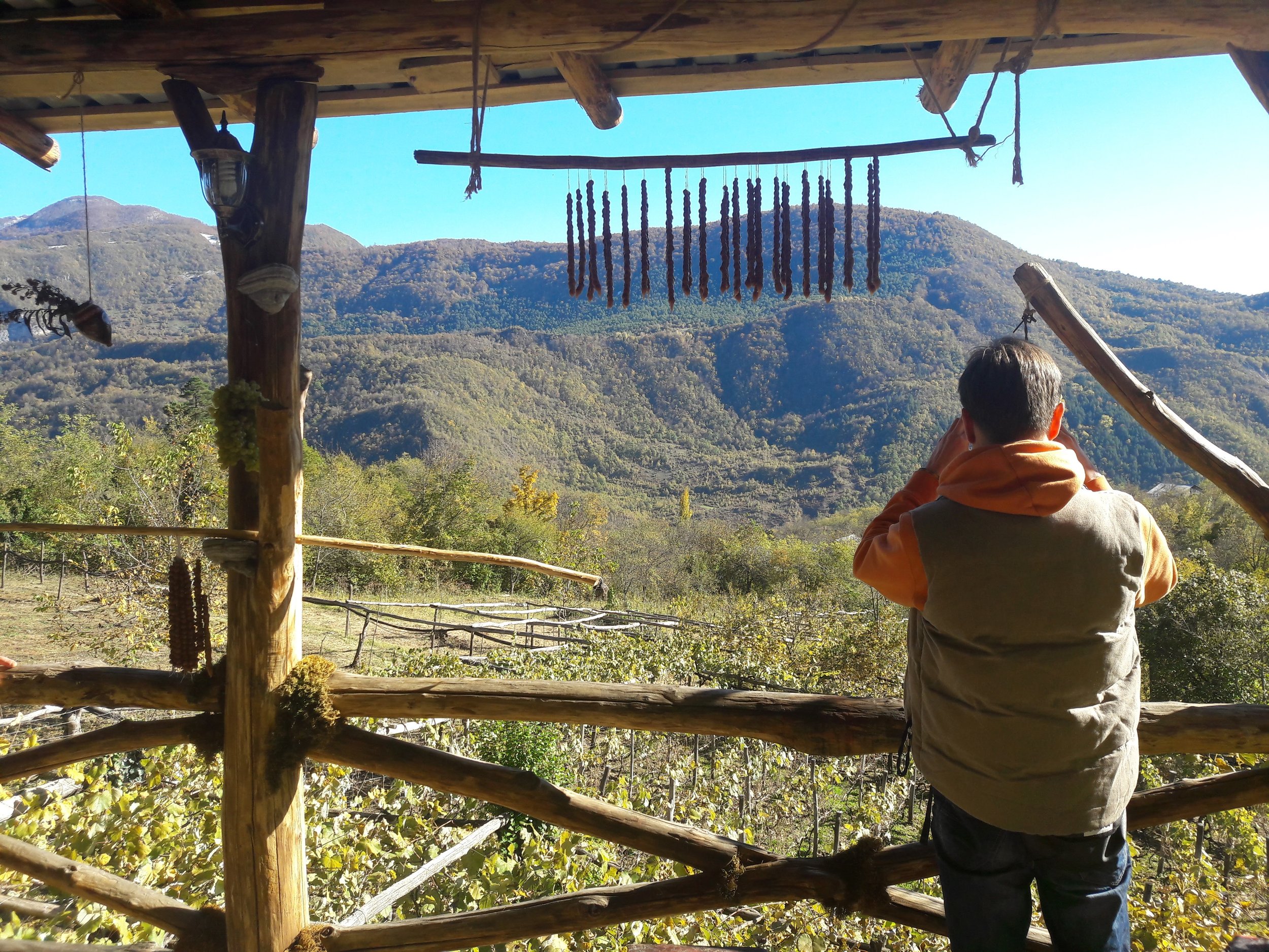 Person taking a photograph with a mountain view in the background, standing on a wooden balcony with rustic railings and hanging decorations, in a natural outdoor setting.