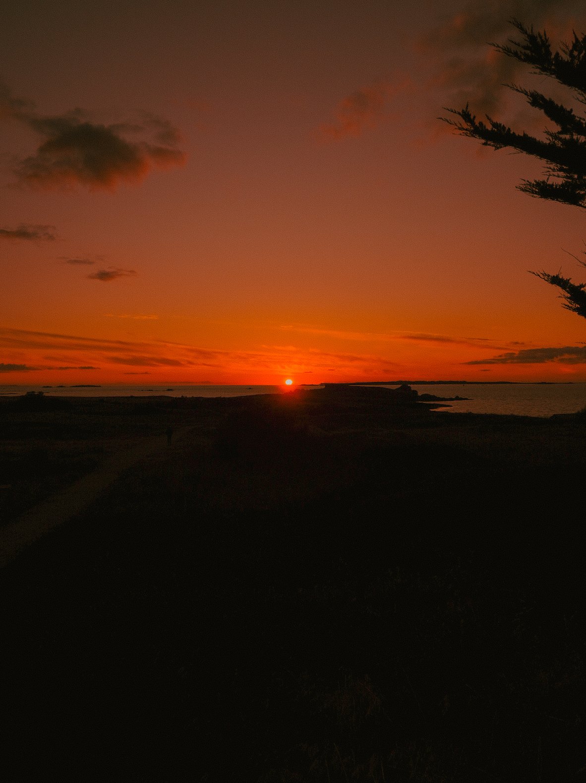 Coucher de soleil sur la mer avec un ciel orange et quelques nuages, silhouette d'arbres de chaque côté.