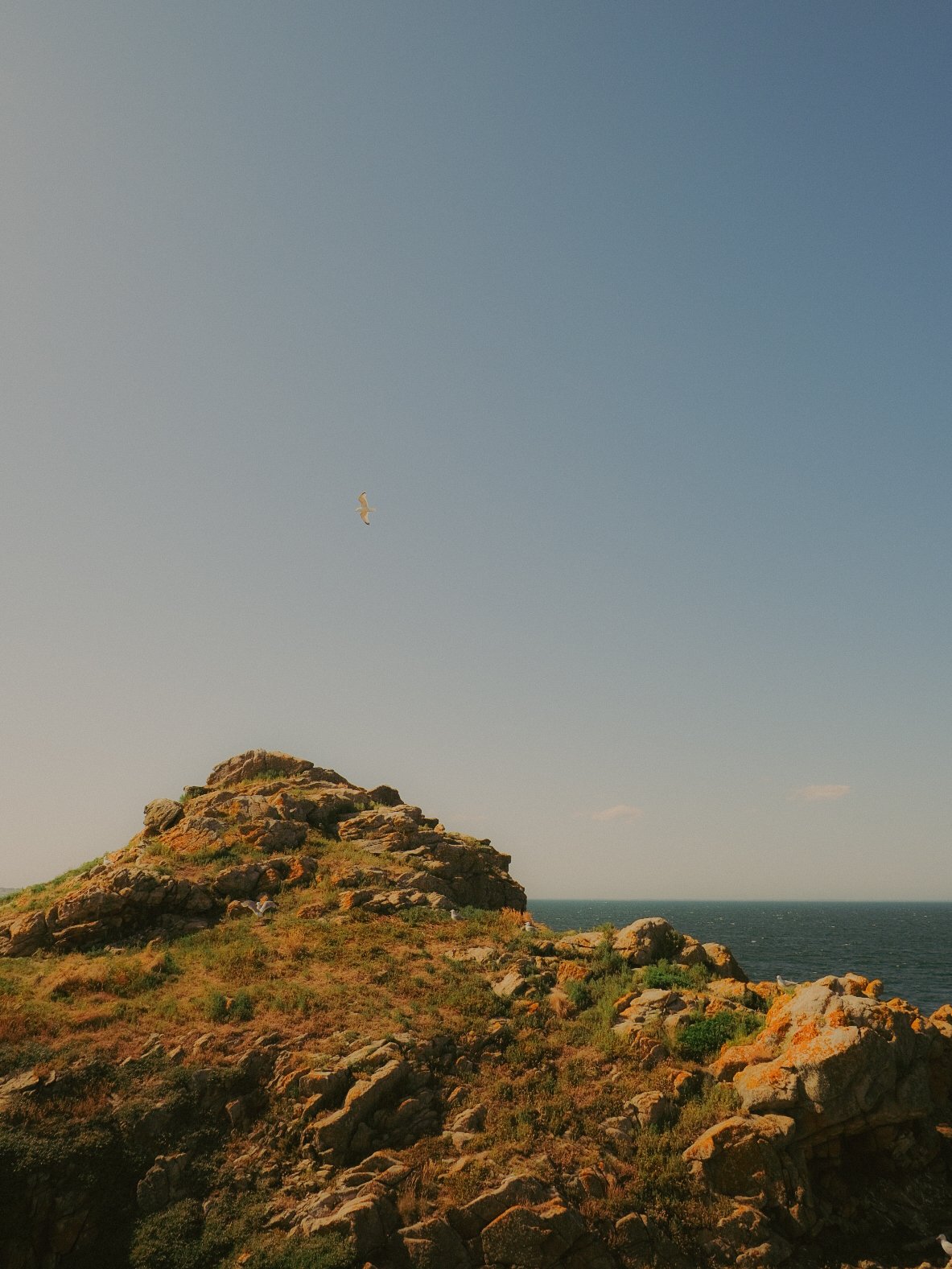 Paysage côtier avec une falaise rocheuse, la mer au loin et un oiseau volant dans le ciel bleu clair.