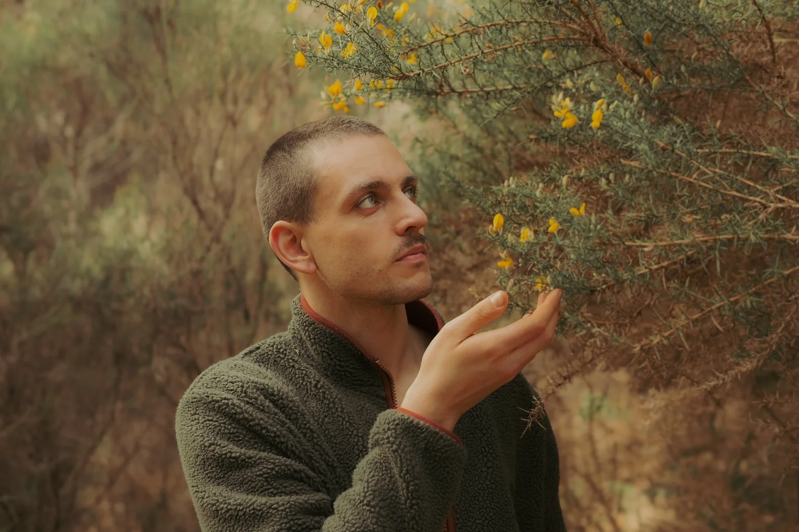 Un homme regarde une branche avec des petites fleurs jaunes dans un environnement naturel boisé.