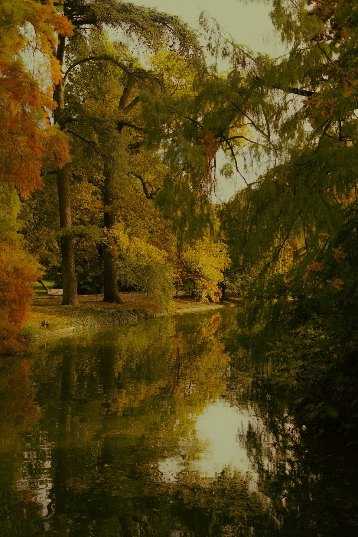 Une scène de naturel avec des arbres aux feuilles d'automne borde une rivière calme reflétant la végétation environnante.