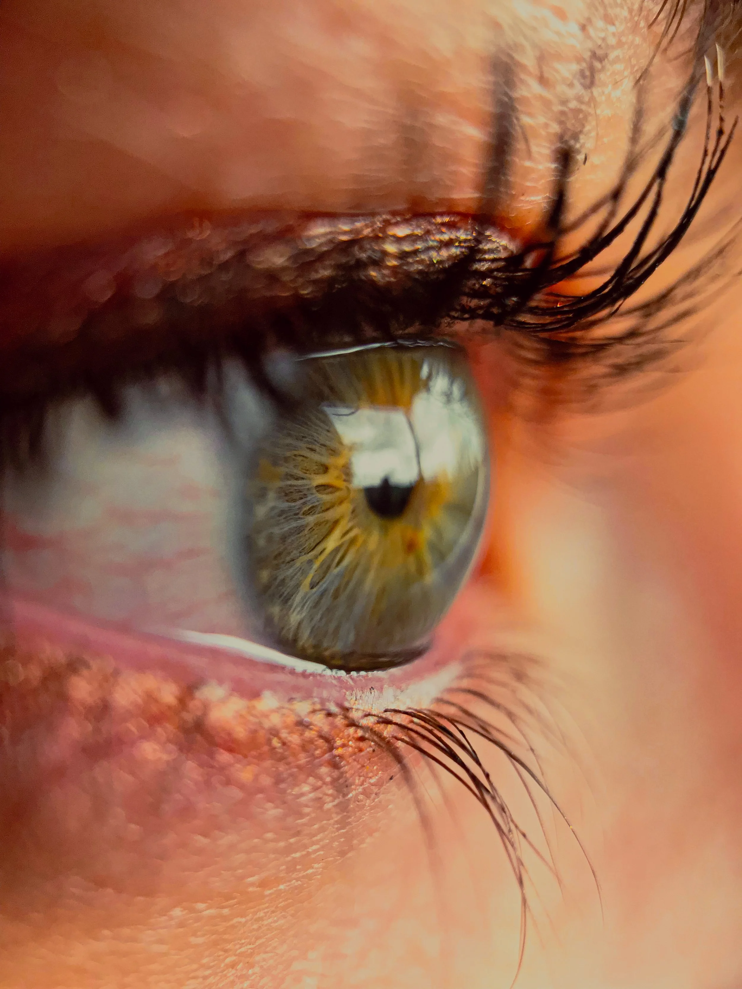 Gros plan d'un œil humain, montrant le iris, la pupille, les cils, et la peau environnante.