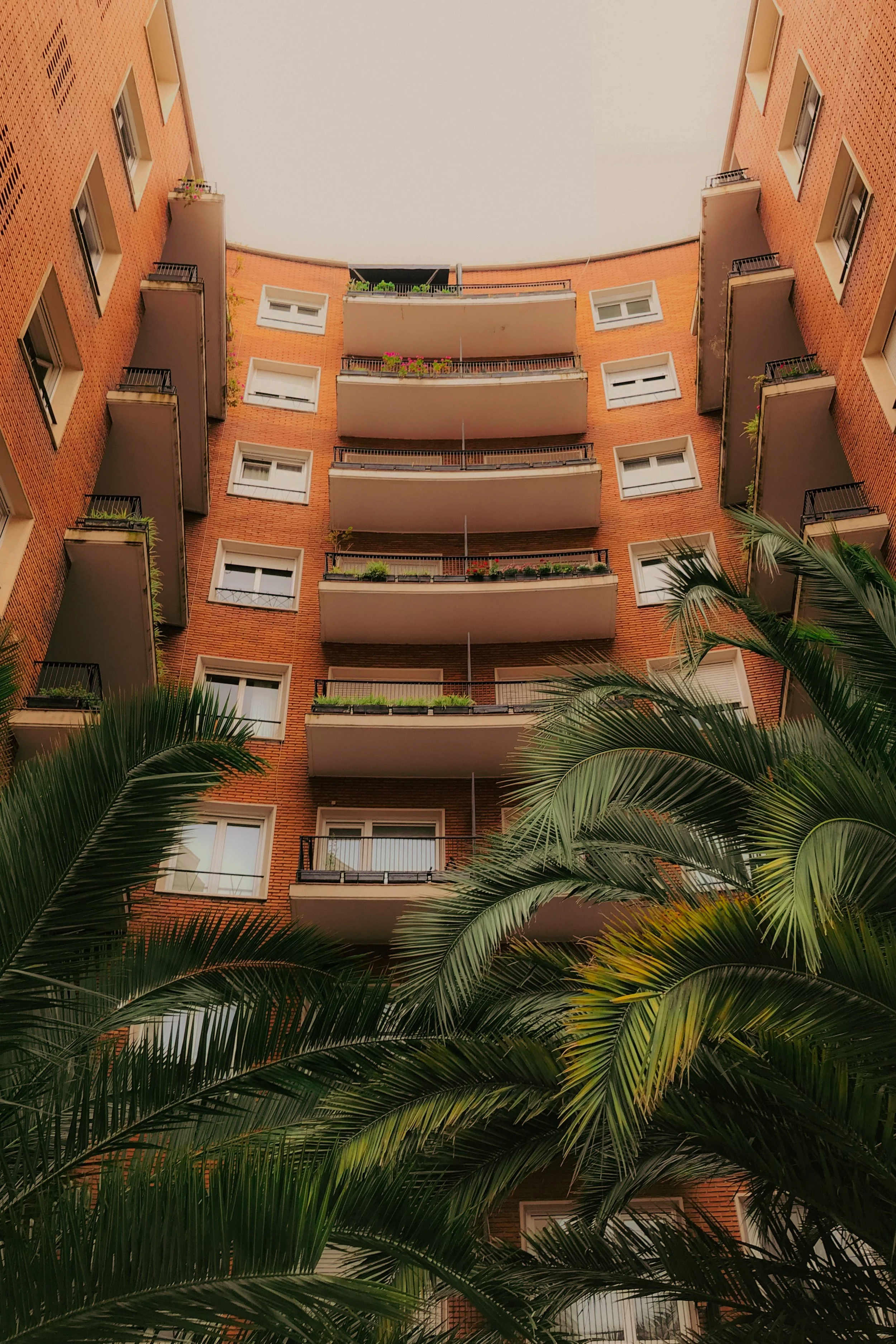 Vue d'un immeuble de six étages avec des balcons, en brique rouge, entouré de palmiers.