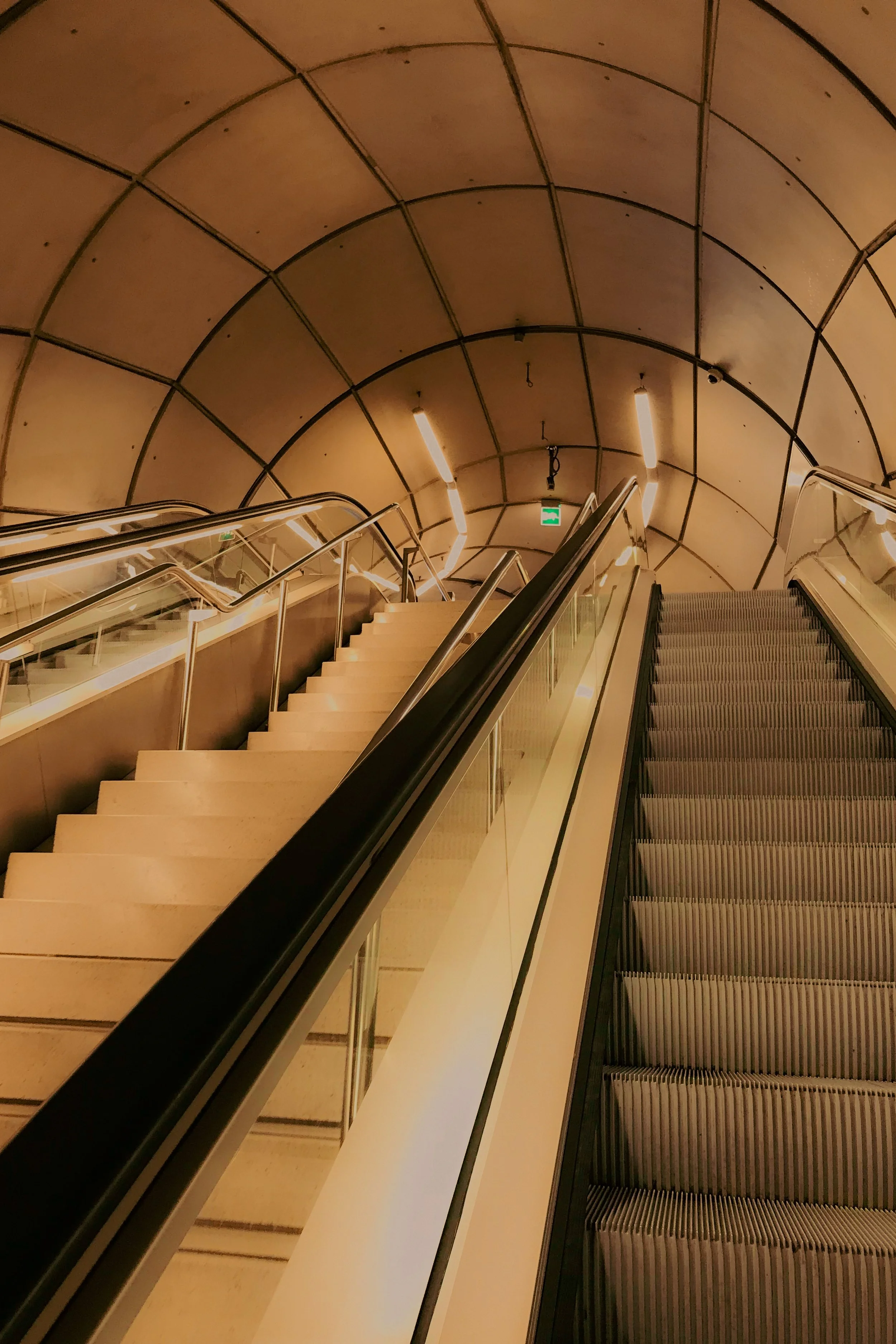 Escalators dans un bâtiment moderne avec un plafond courbé en acier et des lumières suspendues.