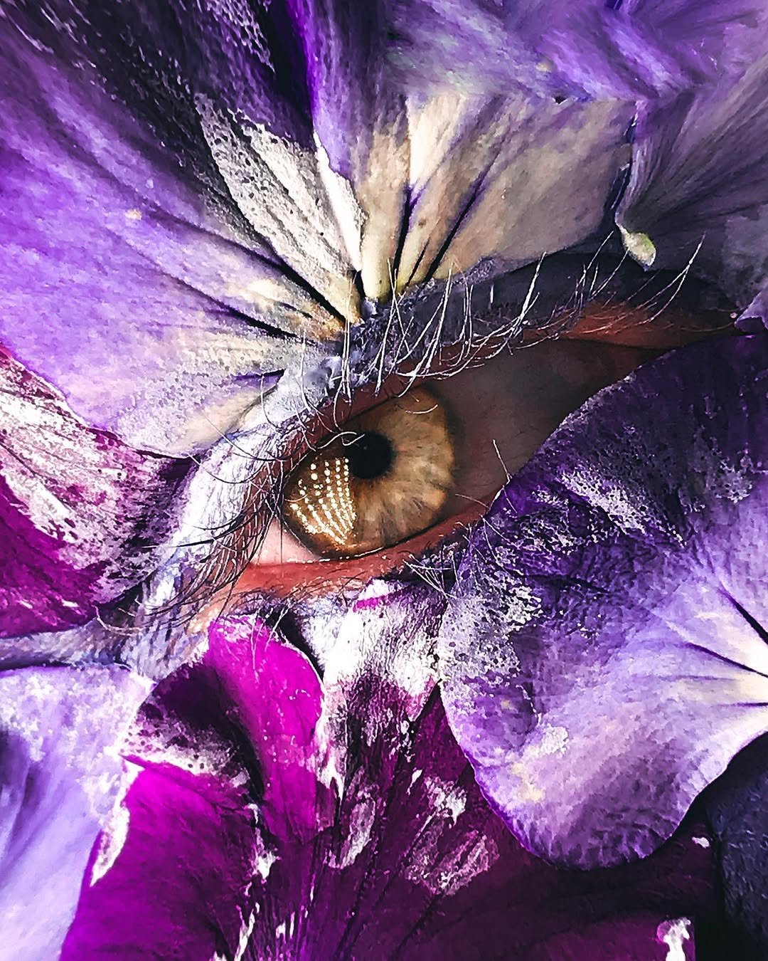 Macro Eye 🌸- @perchek.industrie Pour la première fois, j’ai laissé de côté mon Canon 6d mark II.jpg