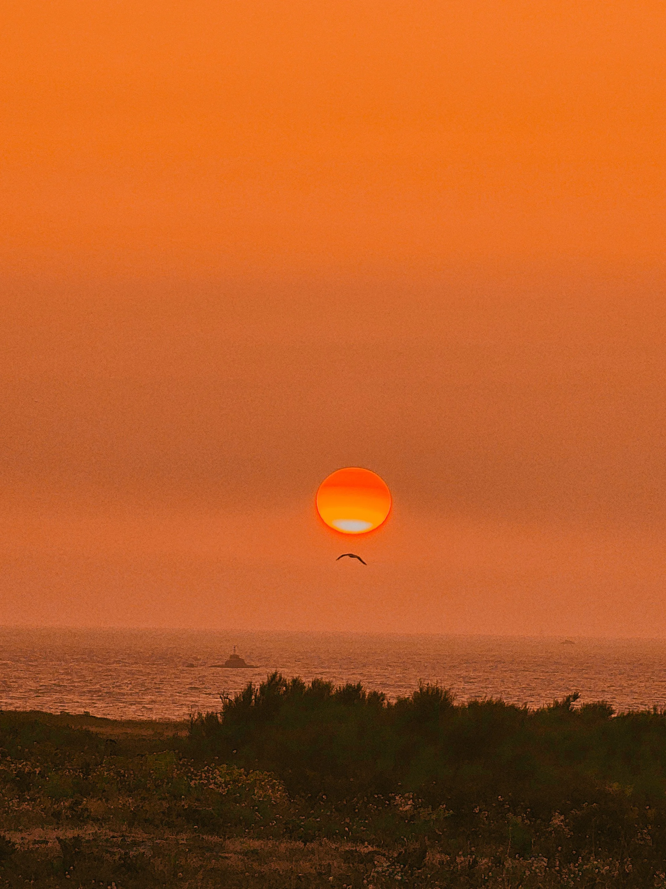 Un coucher de soleil orange sur la mer avec une personne qui vole en parapente et un bateau au loin.