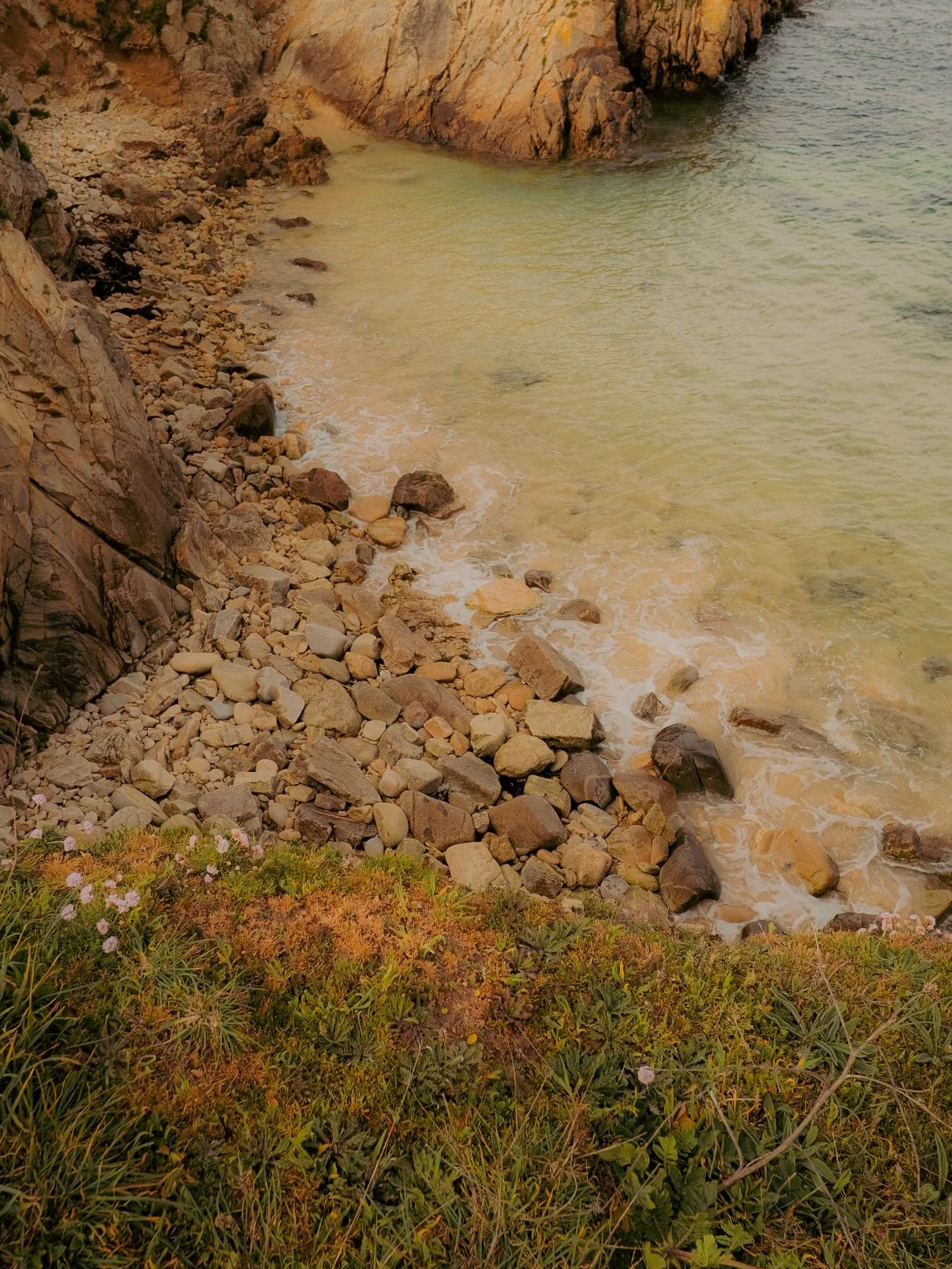 Une plage rocheuse avec des eaux calmes et une falaise en arrière-plan, accompagnée de végétation au premier plan.