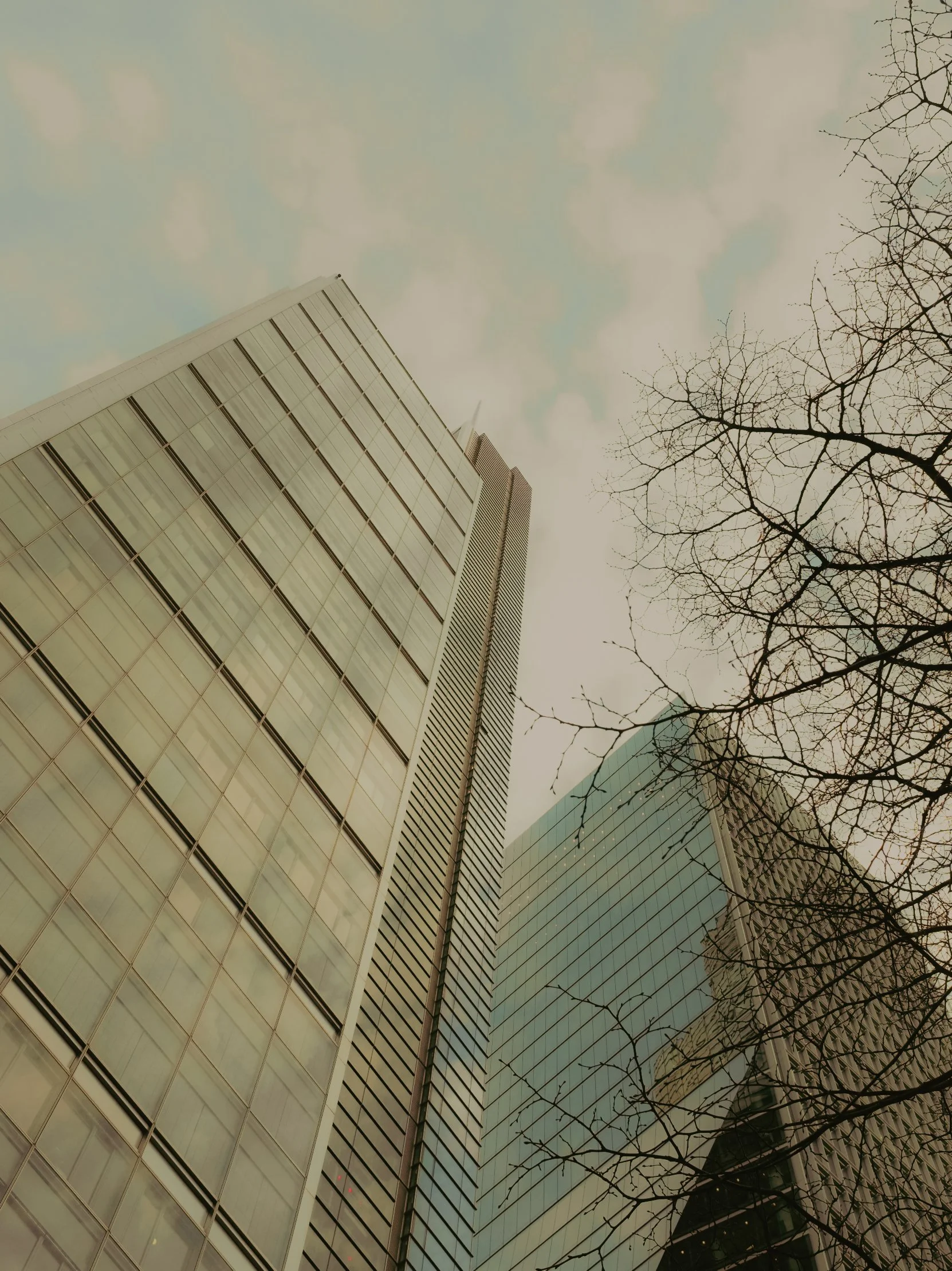 Grosses gratte-ciel en verre sous un ciel nuageux, avec des branches d'arbre dénudées au premier plan.