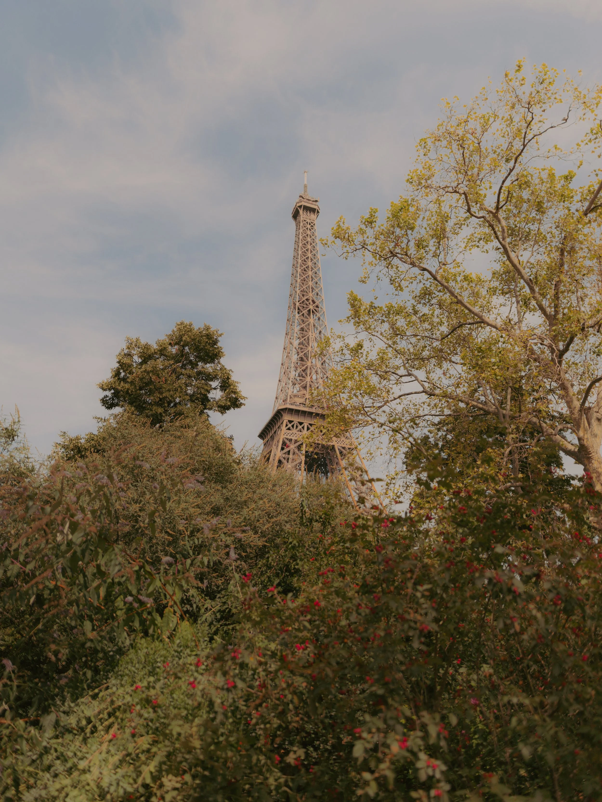 Tour Eiffel partiellement cachée par la végétation avec des arbres et un ciel bleu
