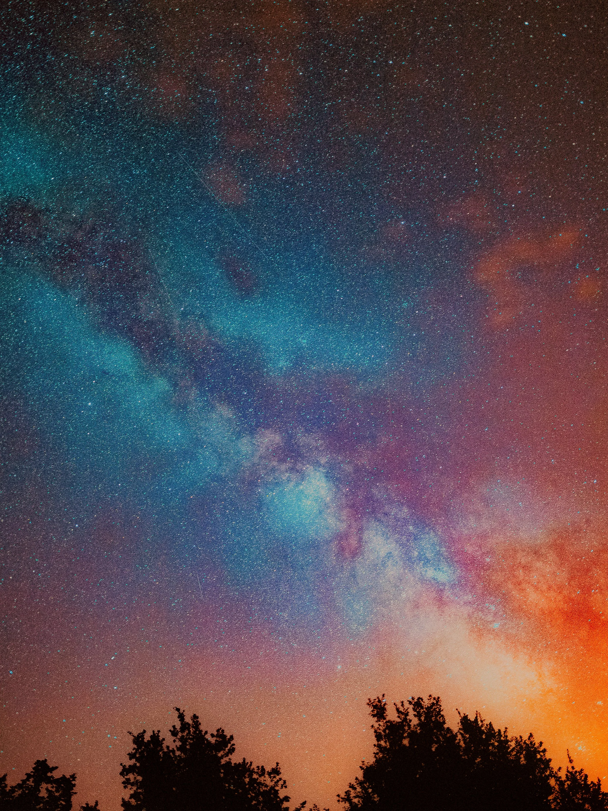 Ciel étoilé avec la voie lactée et des silhouettes d'arbres en premier plan.