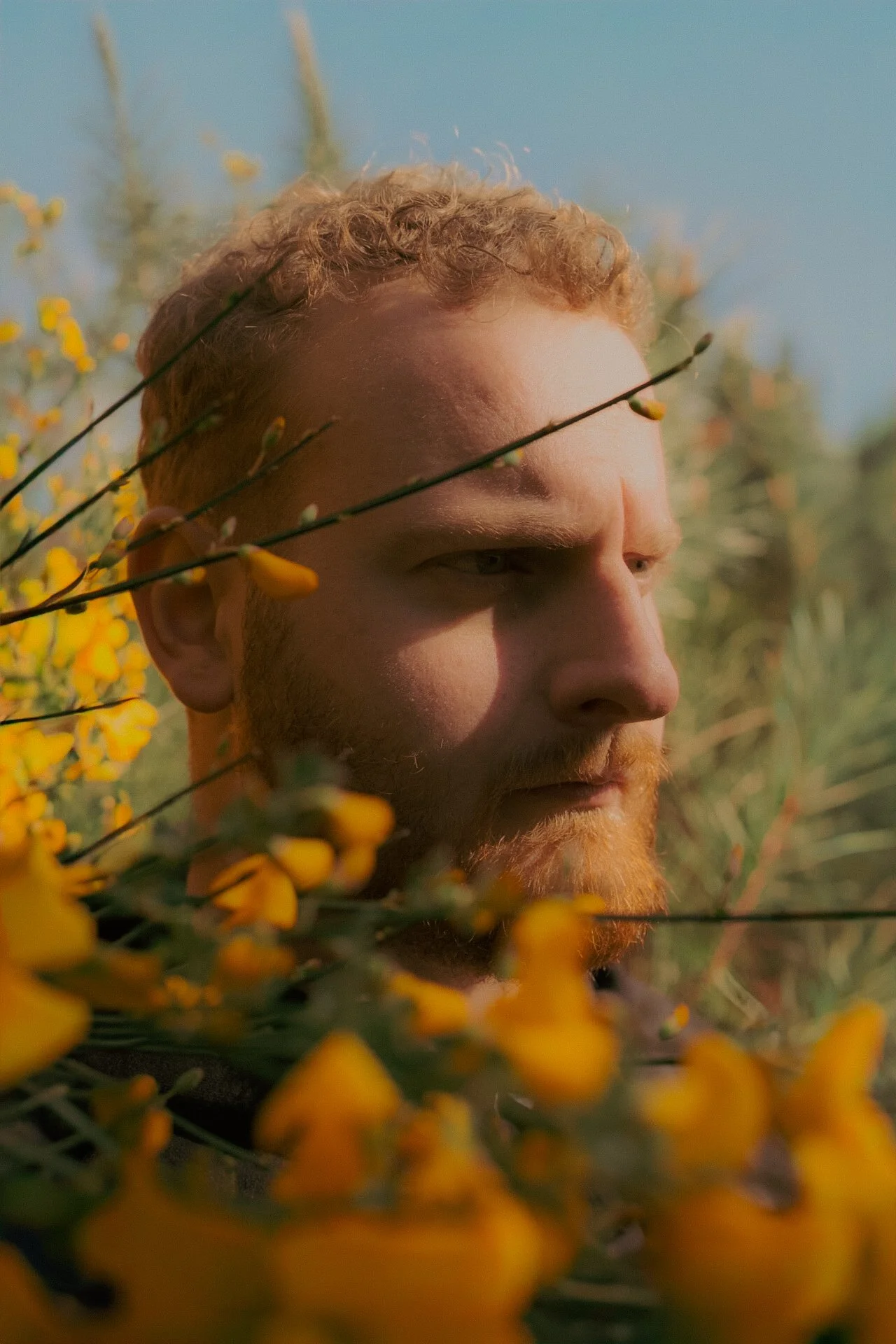 Un homme avec une barbe rougeâtre regarde vers la droite, entouré de fleurs jaunes et de végétation verte, sous un ciel bleu clair.