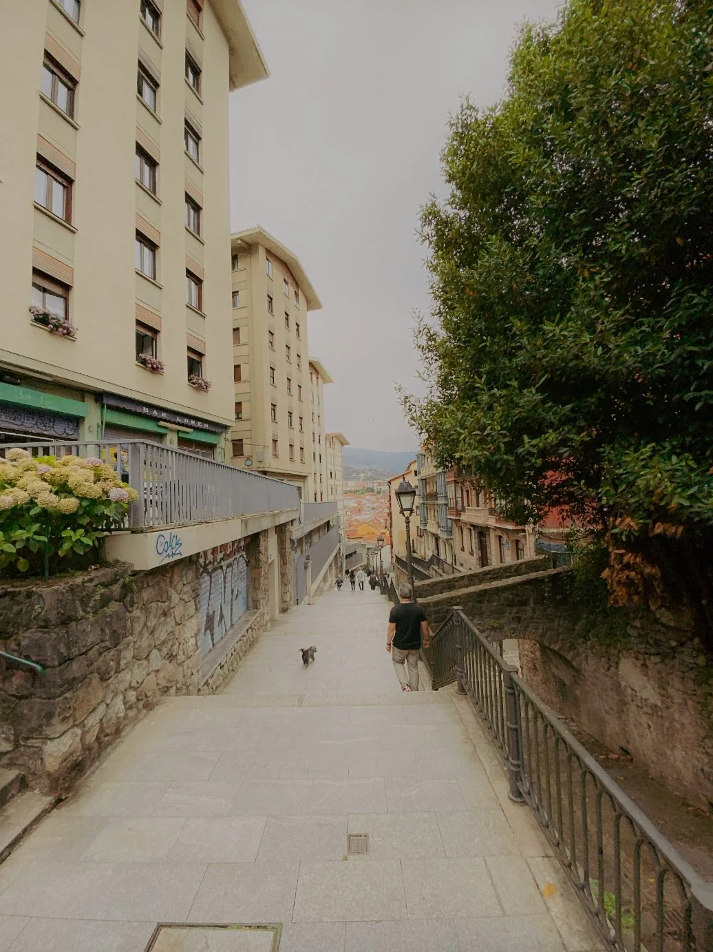 Rue inclinée avec un homme et un chien, bâtiments modernes et anciens, arbres, lampadaires, ciel nuageux.