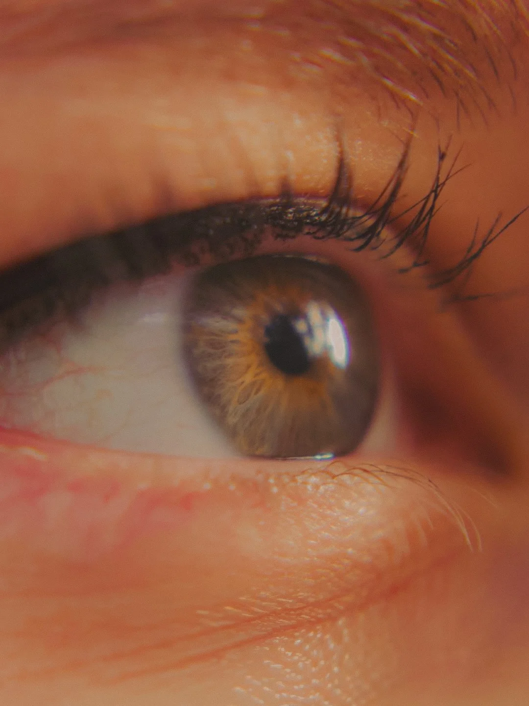 Zoom sur un œil humain avec une pupille noire et un iris brun, reflet de lumière visible, entouré de cils longs et courbés. La peau autour de l'œil est légèrement ridée et de couleur claire.