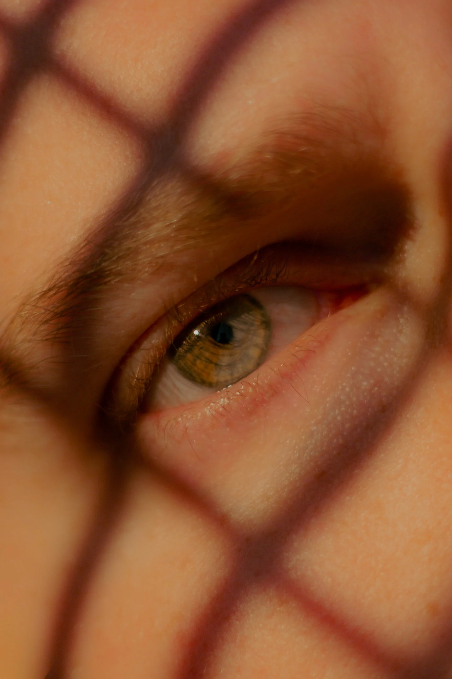 Gros plan d'un œil humain avec détails de la peau et des cils, lueur dans la pupille.