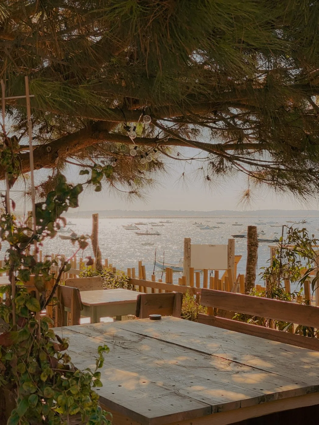 Vue d'une terrasse en bois avec une table devant la mer, plusieurs petites embarcations flottent sur l'eau, sous un ciel légèrement nuageux. La scène est encadrée par des branches d'arbre et des plantes.