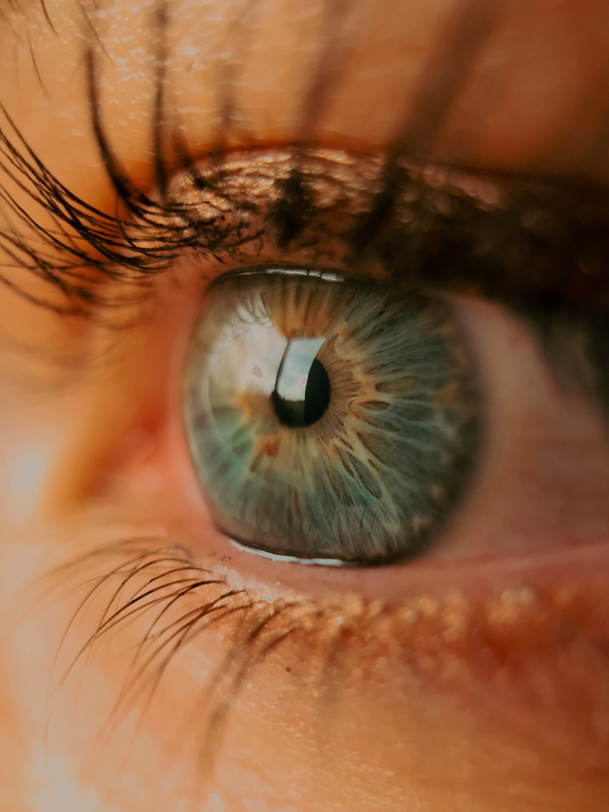 Gros plan d'un œil humain, montrant la pupille, l'iris coloré et les cils.