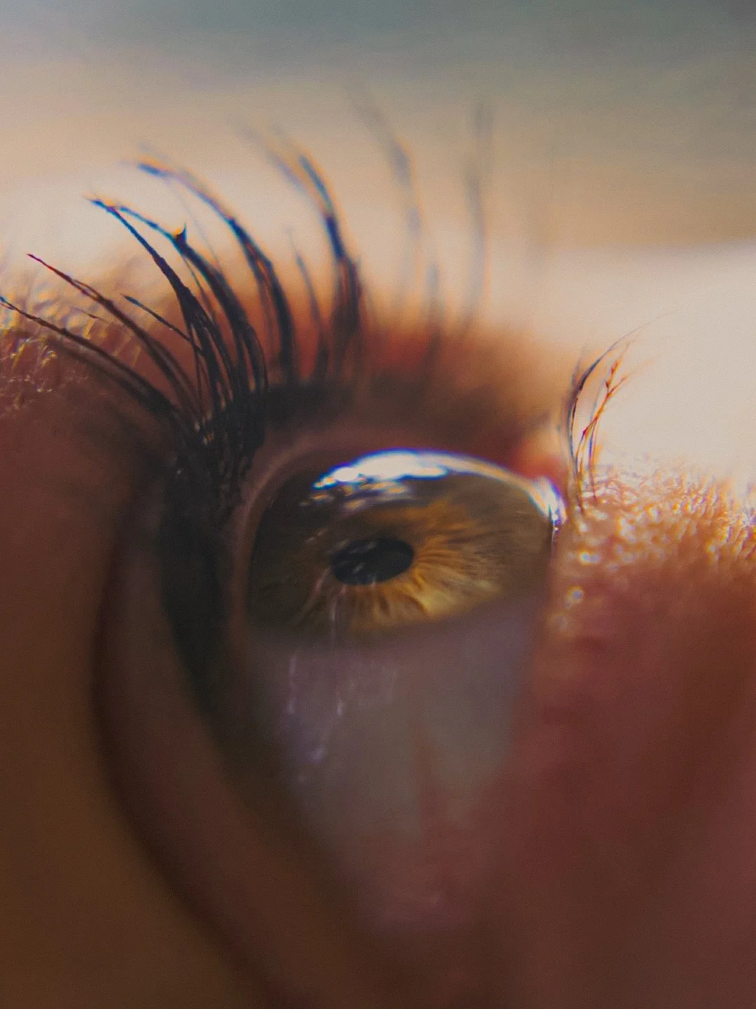 Gros plan d'un œil humain avec des cils longs et une pupille noire, reflet de lumière sur la cornée.