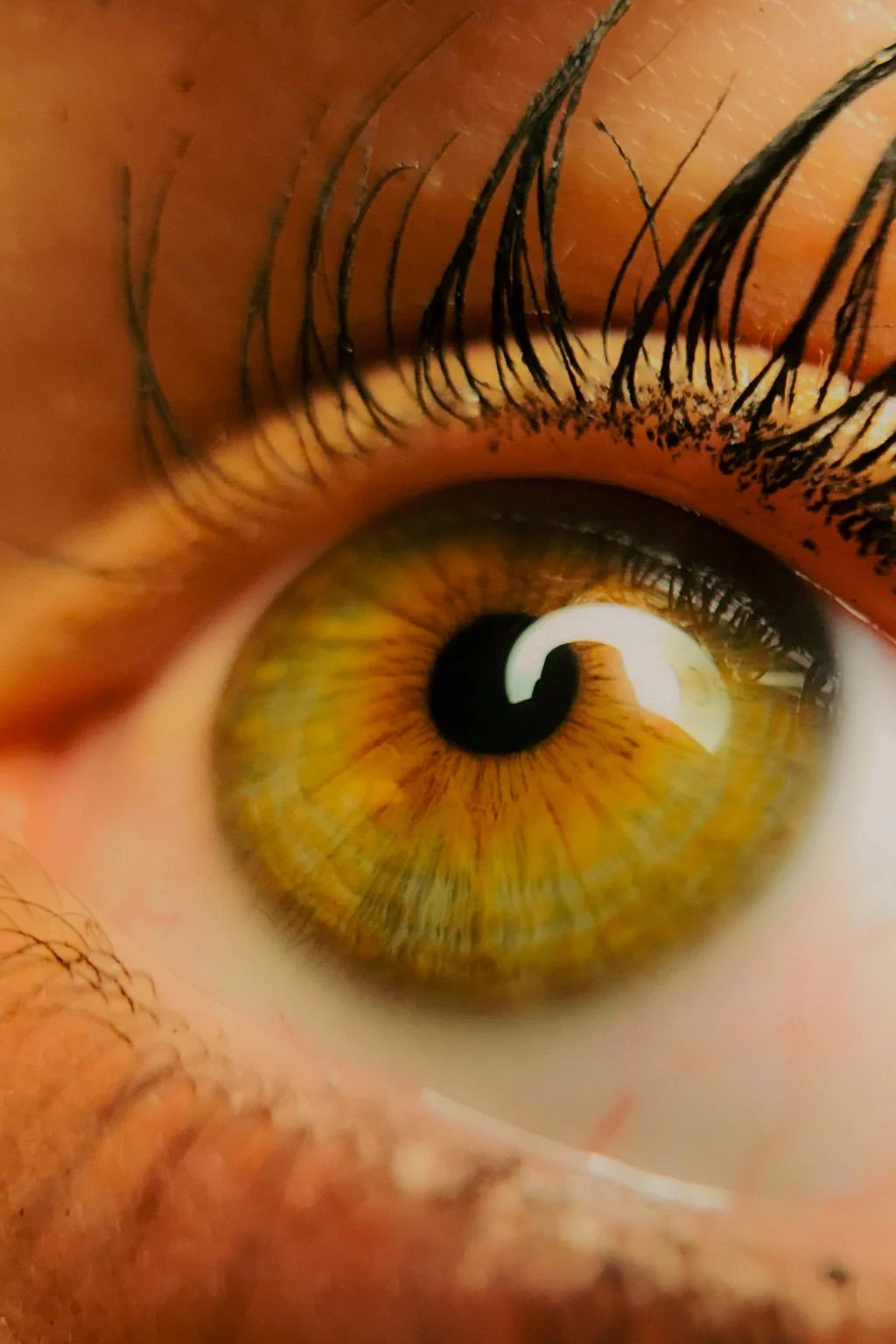 Gros plan d'un œil humain avec iris marron, cils noirs et peau autour de l'œil.