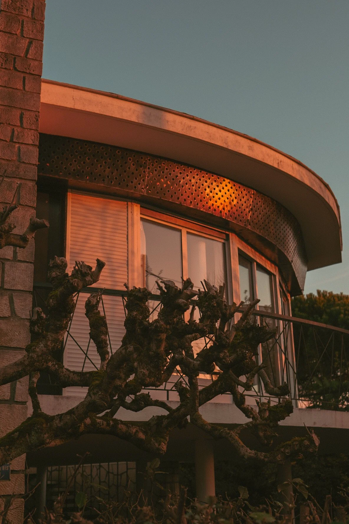 Une maison moderne avec un balcon en arrière-plan, entourée de branches d'un arbre nu, au coucher du soleil