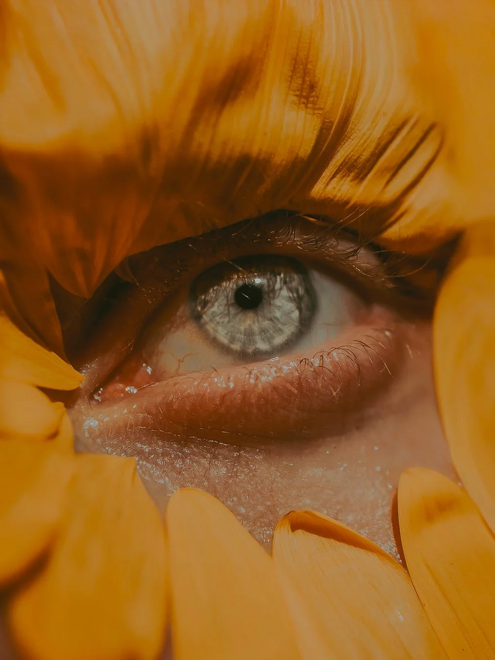 Gros plan d'un œil humain entouré de pétales jaunes d'une fleur.
