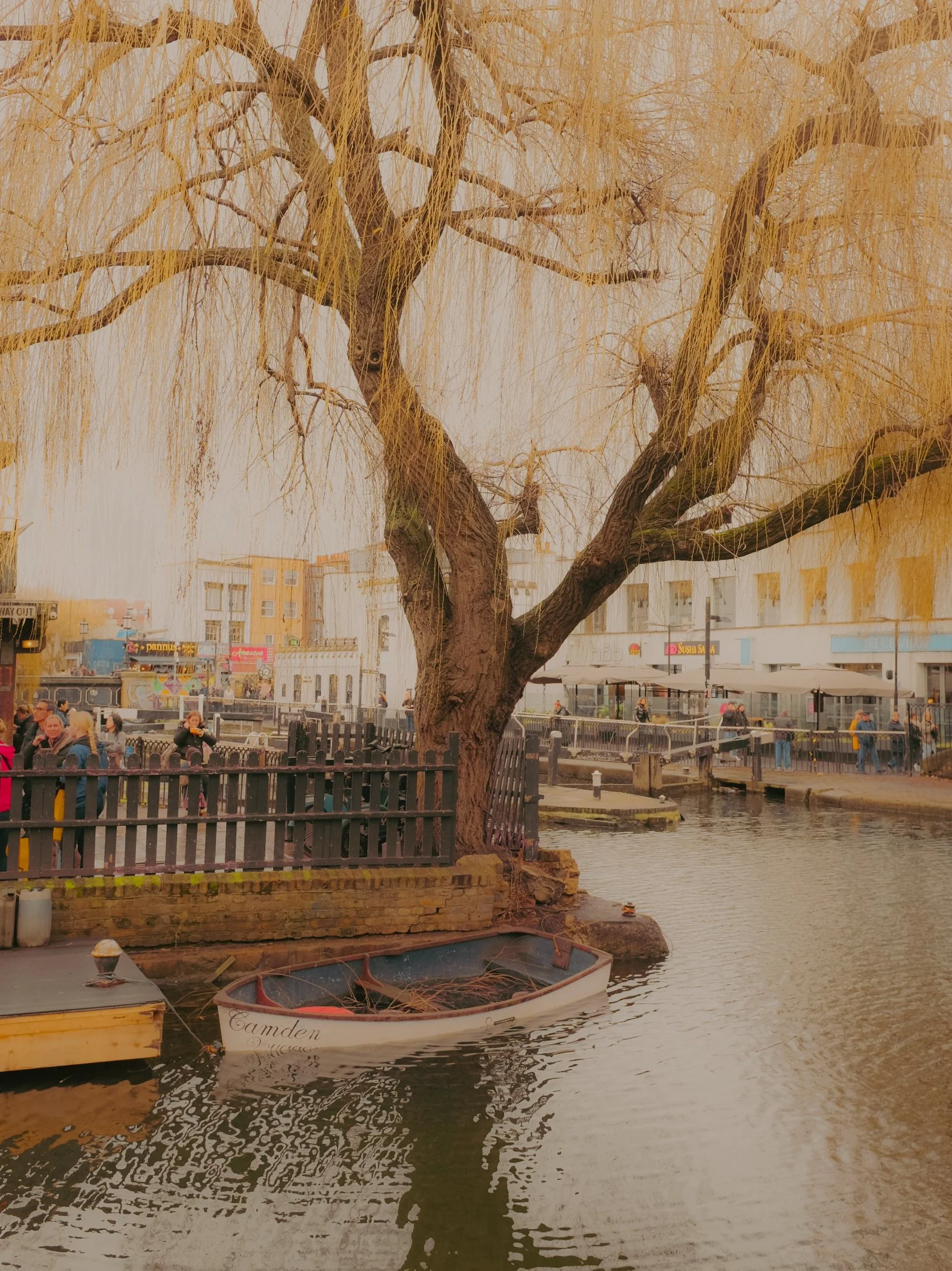 Un arbre sans feuilles près d'un canal avec un bateau amarré. Il y a des bâtiments en arrière-plan, des personnes assises et debout près du canal, et une atmosphère de fin d'après-midi ou de début de soirée.