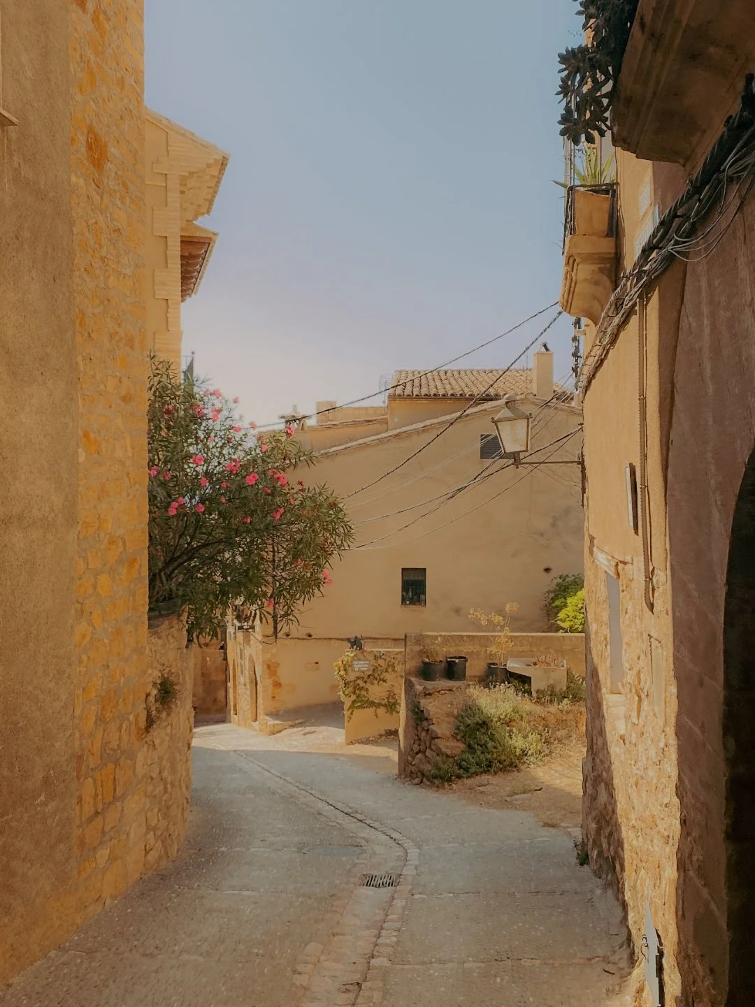 Une rue pavée étroite dans un quartier ancien avec des bâtiments en pierre, une floraison rose et des câbles électriques suspendus dans le ciel clair.