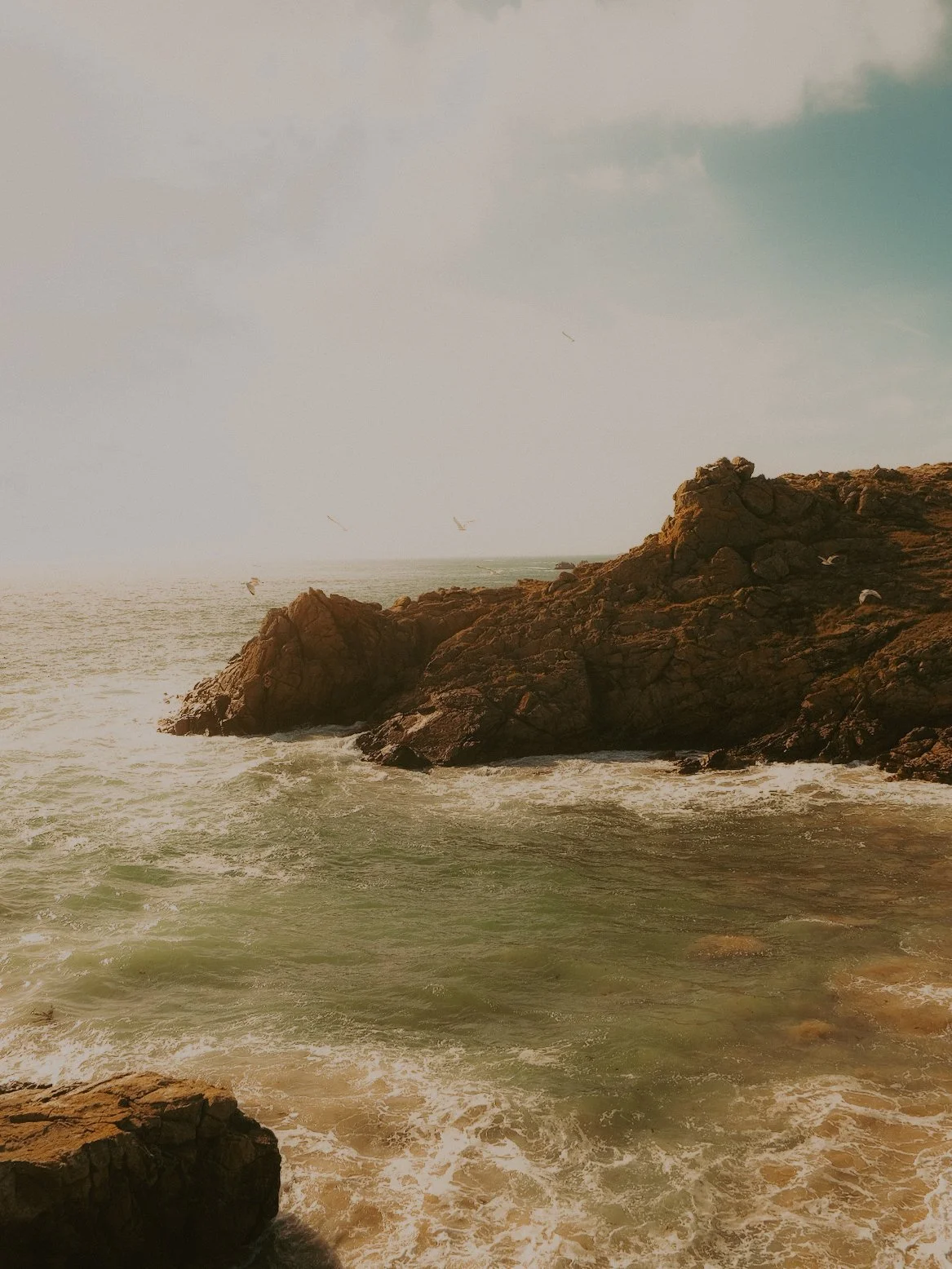 Côte rocheuse avec vagues de mer, oiseaux en vol, ciel nuageux, scènes de nature et plage rocheuse