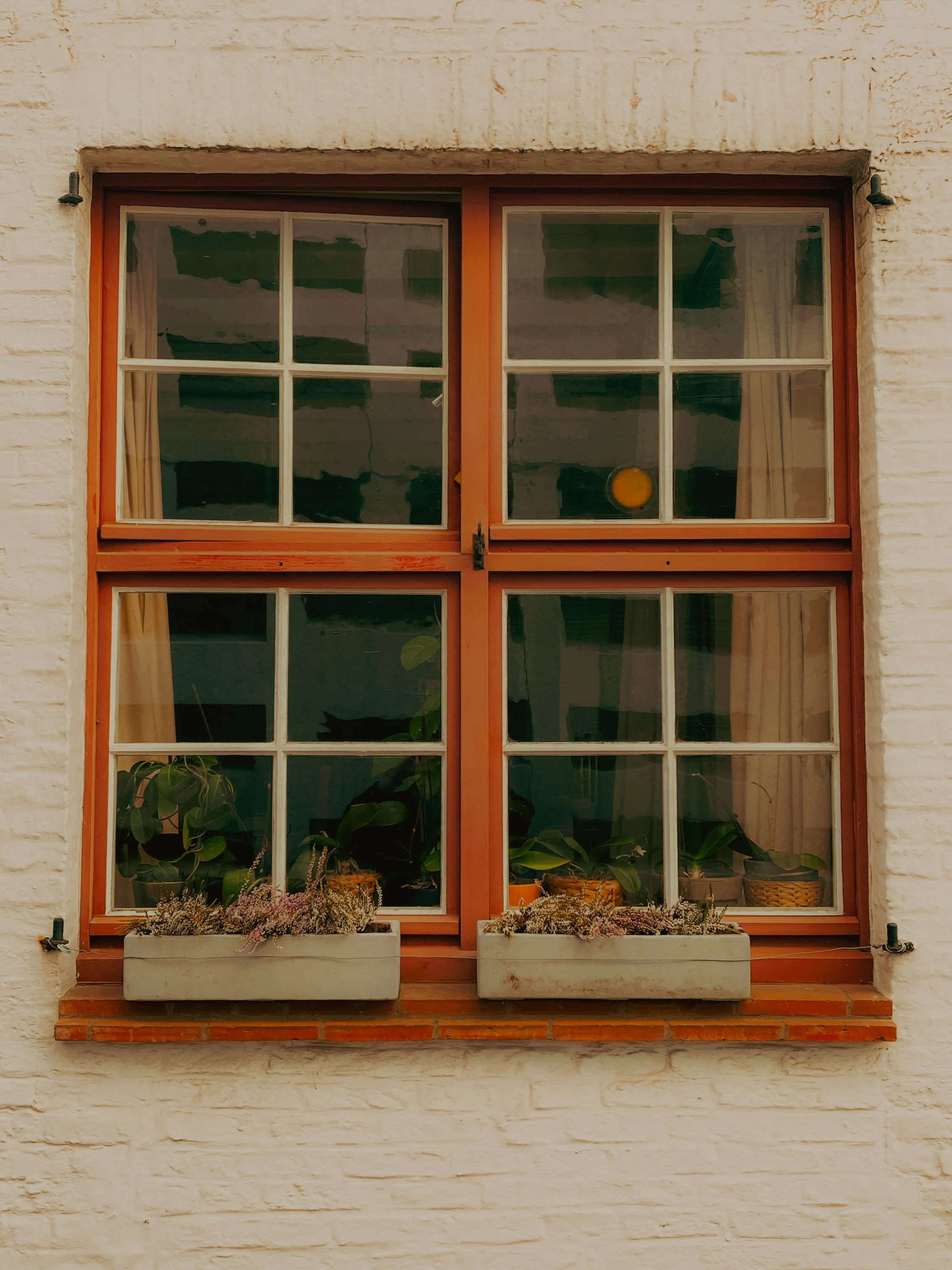 Fenêtre à double vantaux avec volets en bois, décorée avec des plantes dans des pots, sur une façade de mur en brique blanche.