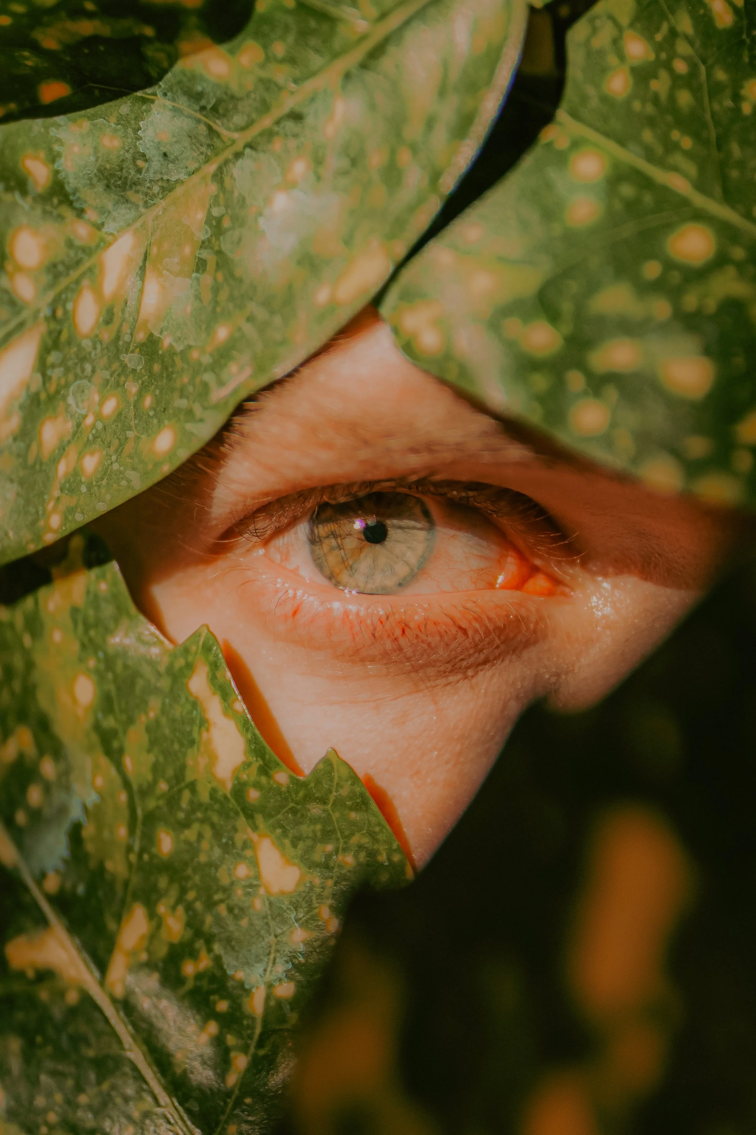 Un œil humain vu à travers des feuilles vertes avec des taches jaunes, avec une peau claire et une iris bleue claire.