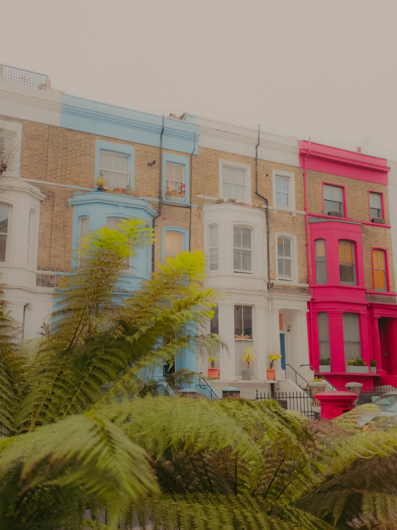 Maisons de style victorien avec façades peintes en bleu, blanc et rose, avec des plantes en pot sur les balcons et des fougères devant.