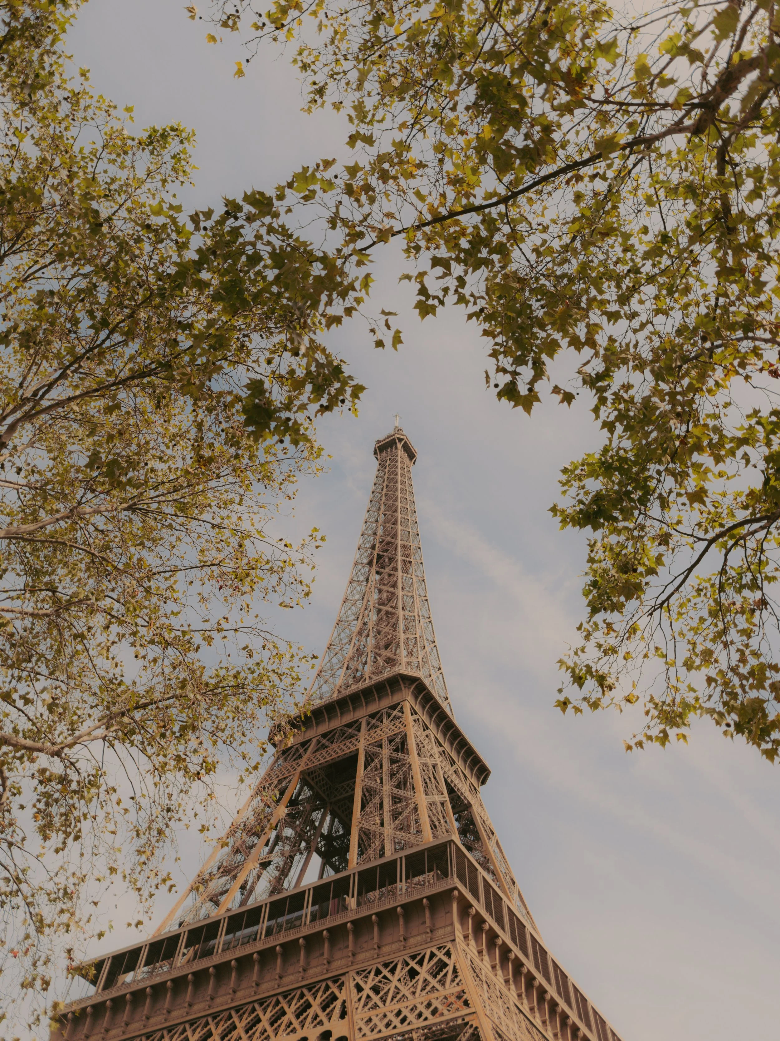 Tour Eiffel vue du bas avec des arbres en premier plan et un ciel nuageux en arrière-plan.