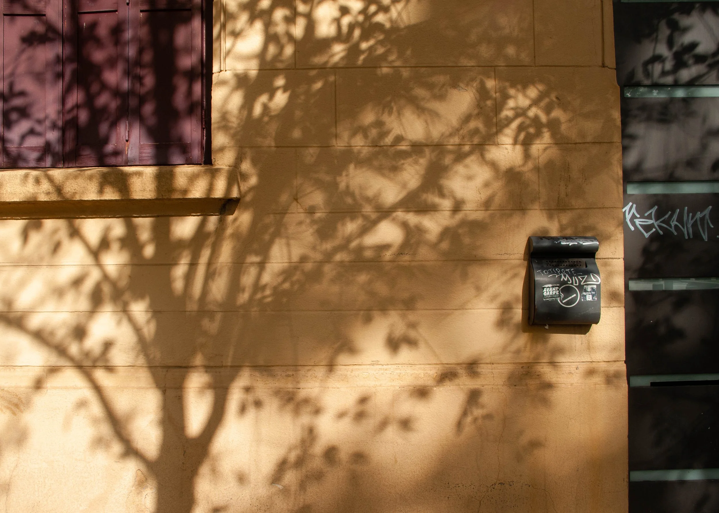 DSC_5127.jpg
