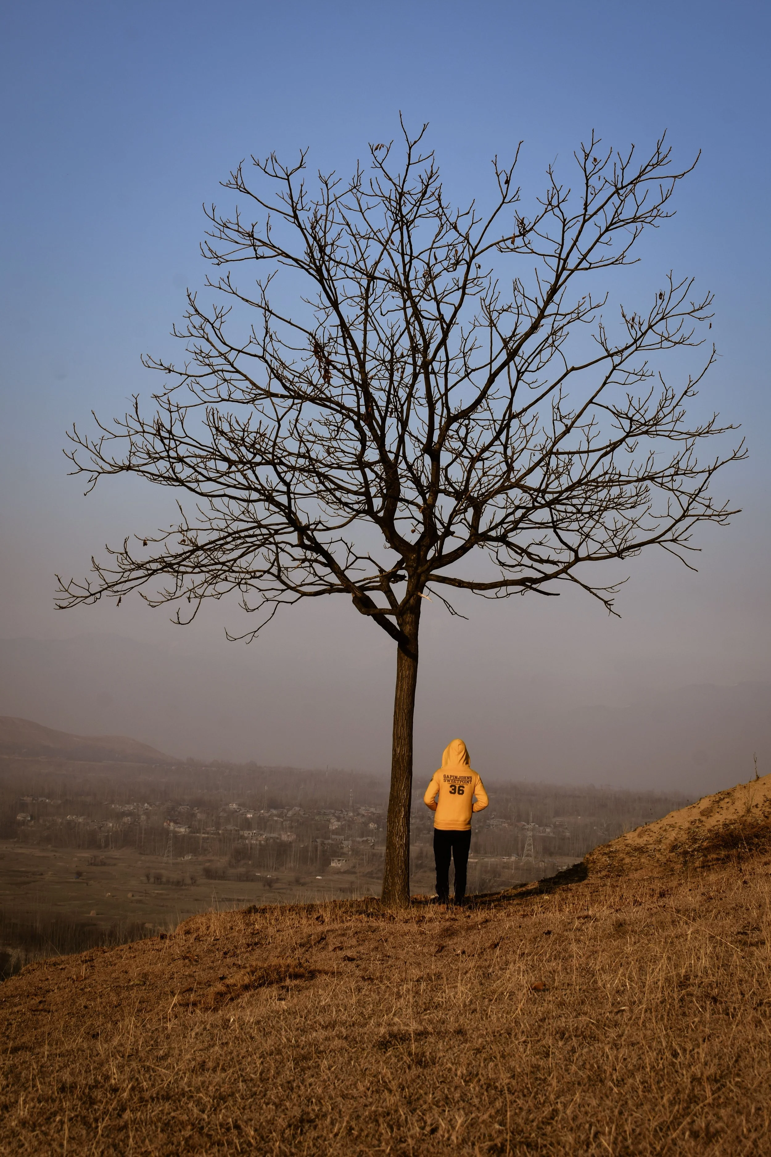 man standing by winter bare tree alone on a brown landscape facing a small town