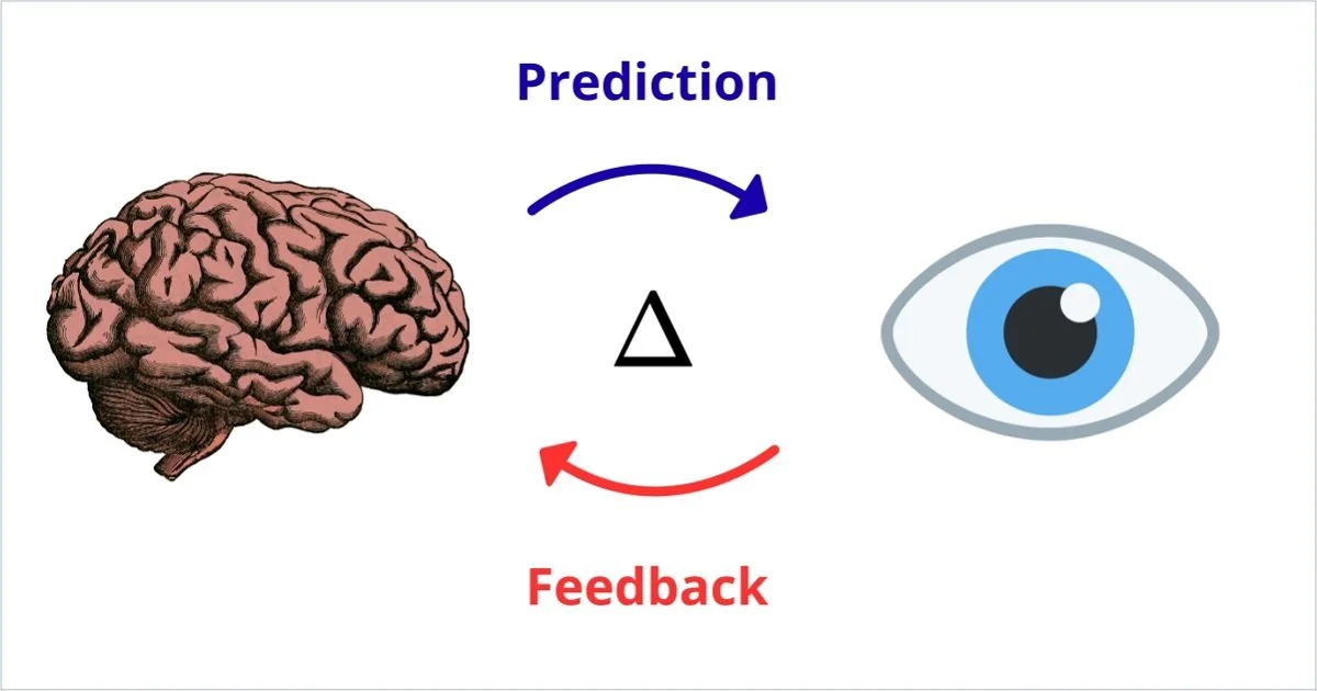 diagram showing feedback the brain receives after predicting external environmental factors based on previous experiences - psychological framework - becoming on point