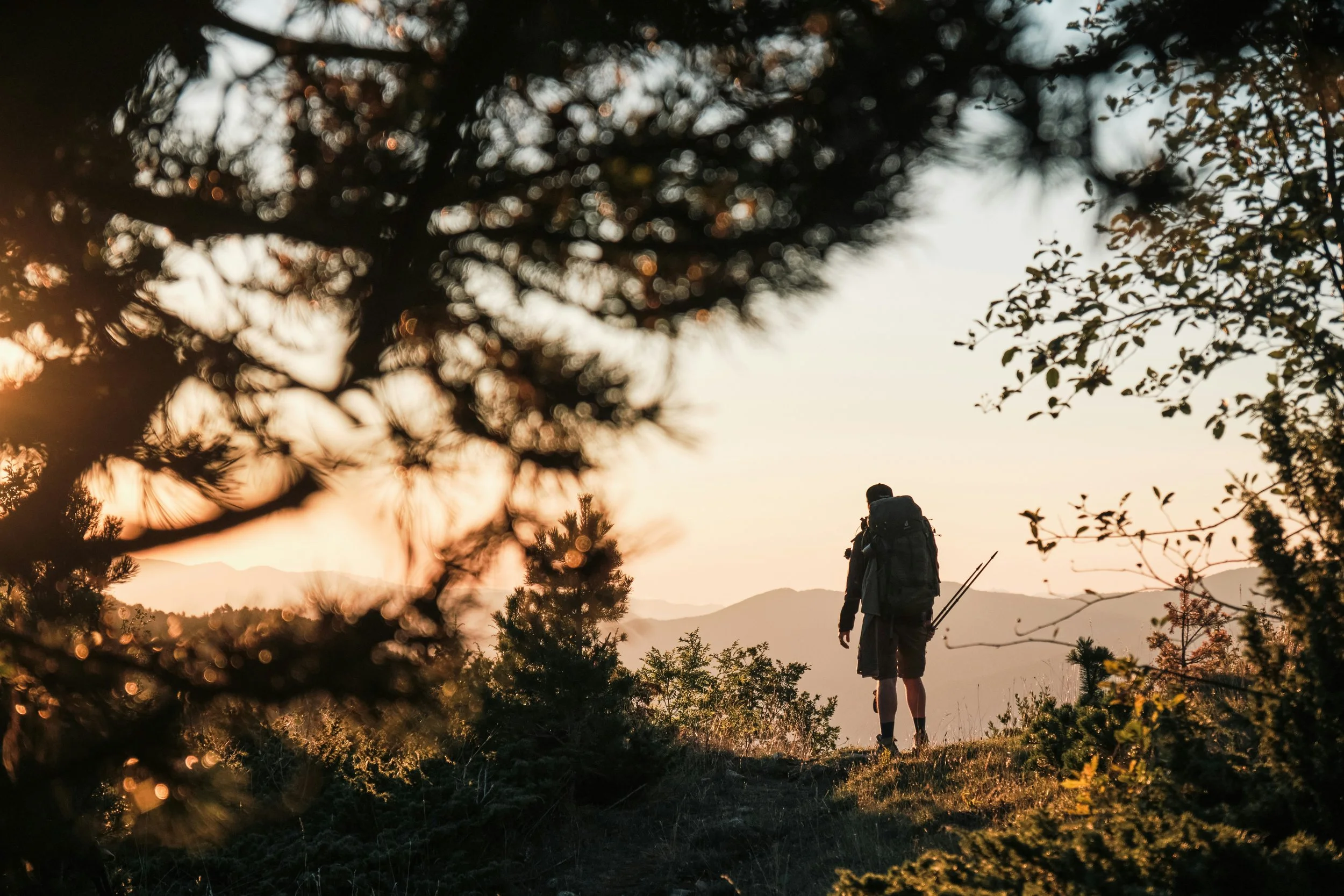 man with huge backpack hiking in nature and mountains with tree leaves in the foreground and sun setting in the distance - yellow tones with shadows