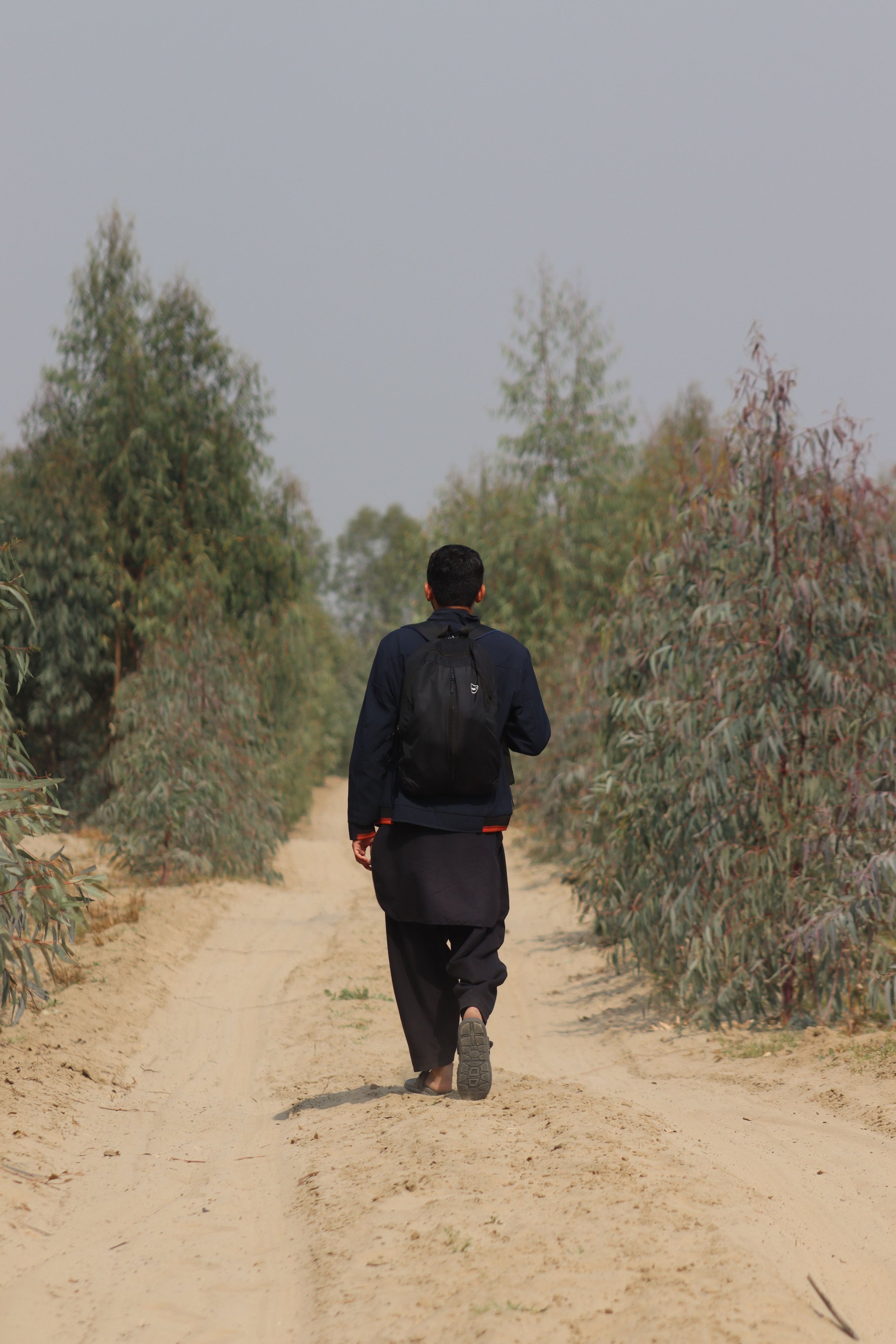 man walking on dirty path into the distance with his back facing the camera, set in nature with bushes in the distance
