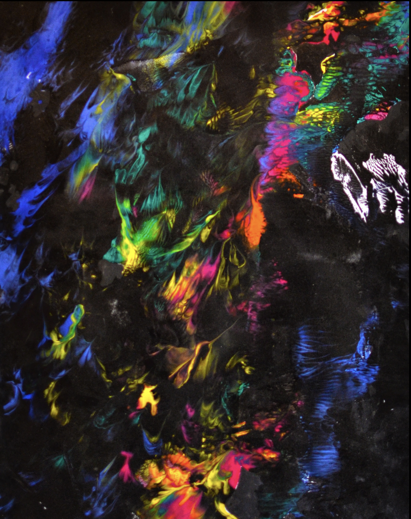 Abstract colorful neon paint flowing on a black background.
