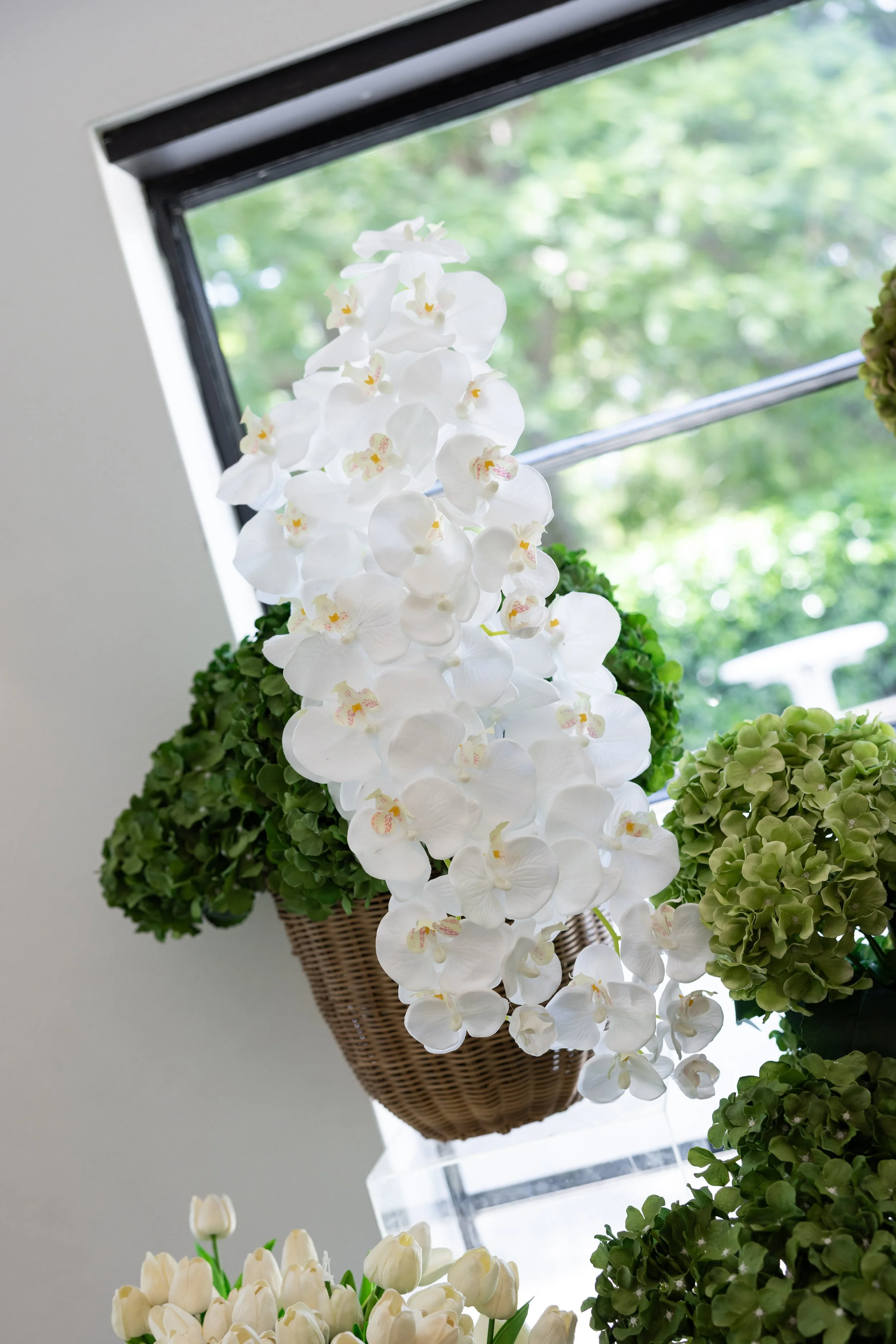 Athena's Baptism-398.jpg