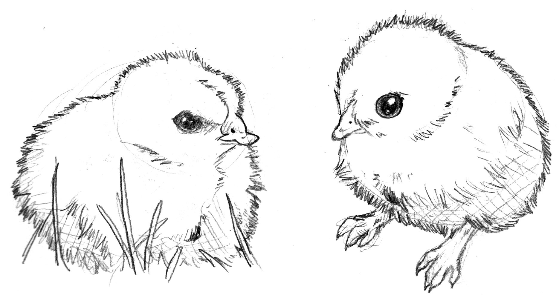 hagglets (baby haggis)