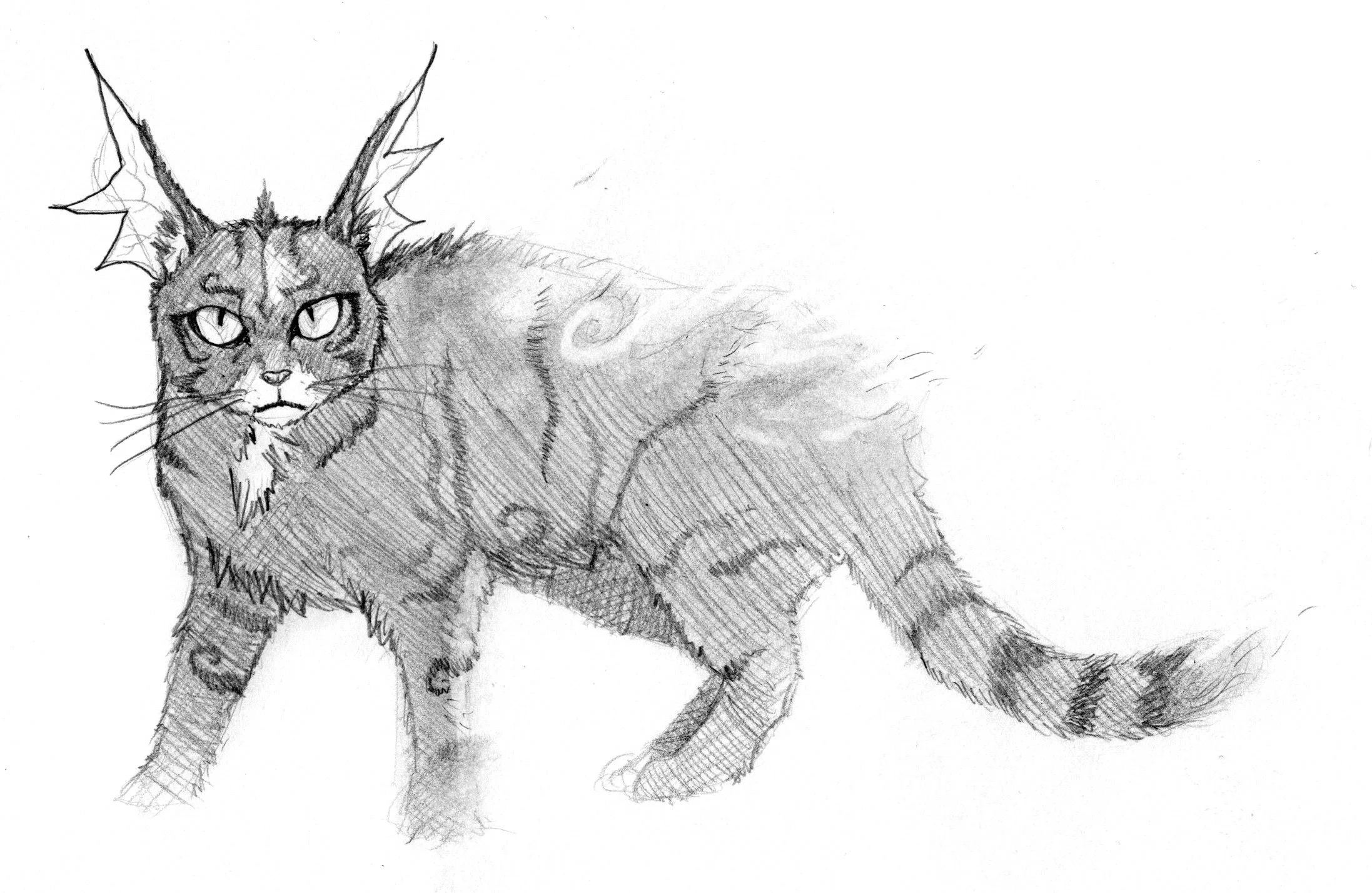 cat sidhe