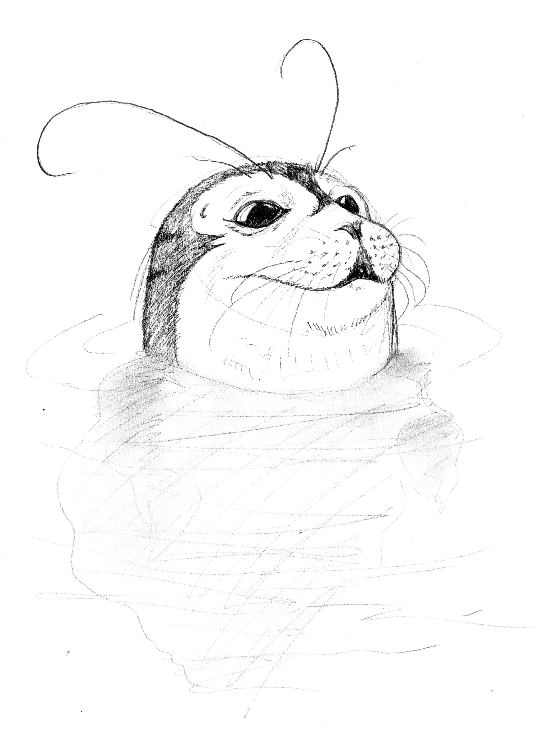 Selkie head popping out of water