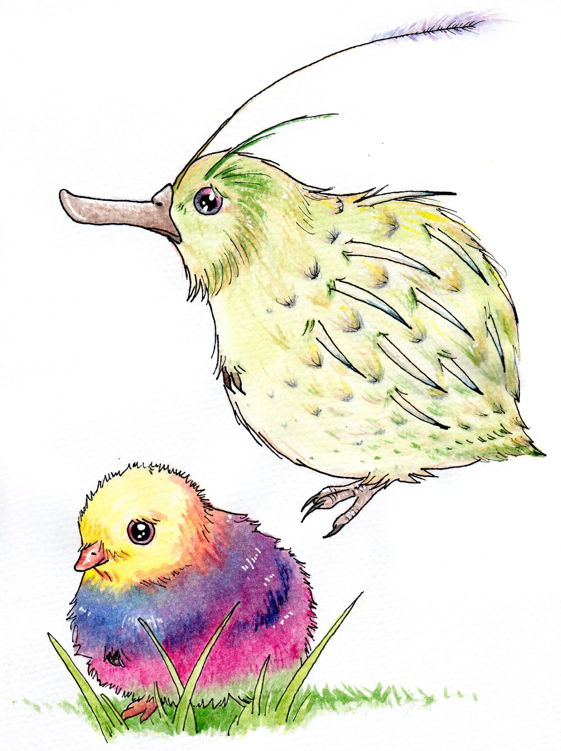 Haggis and hagglet (baby haggis) - watercolour and ink