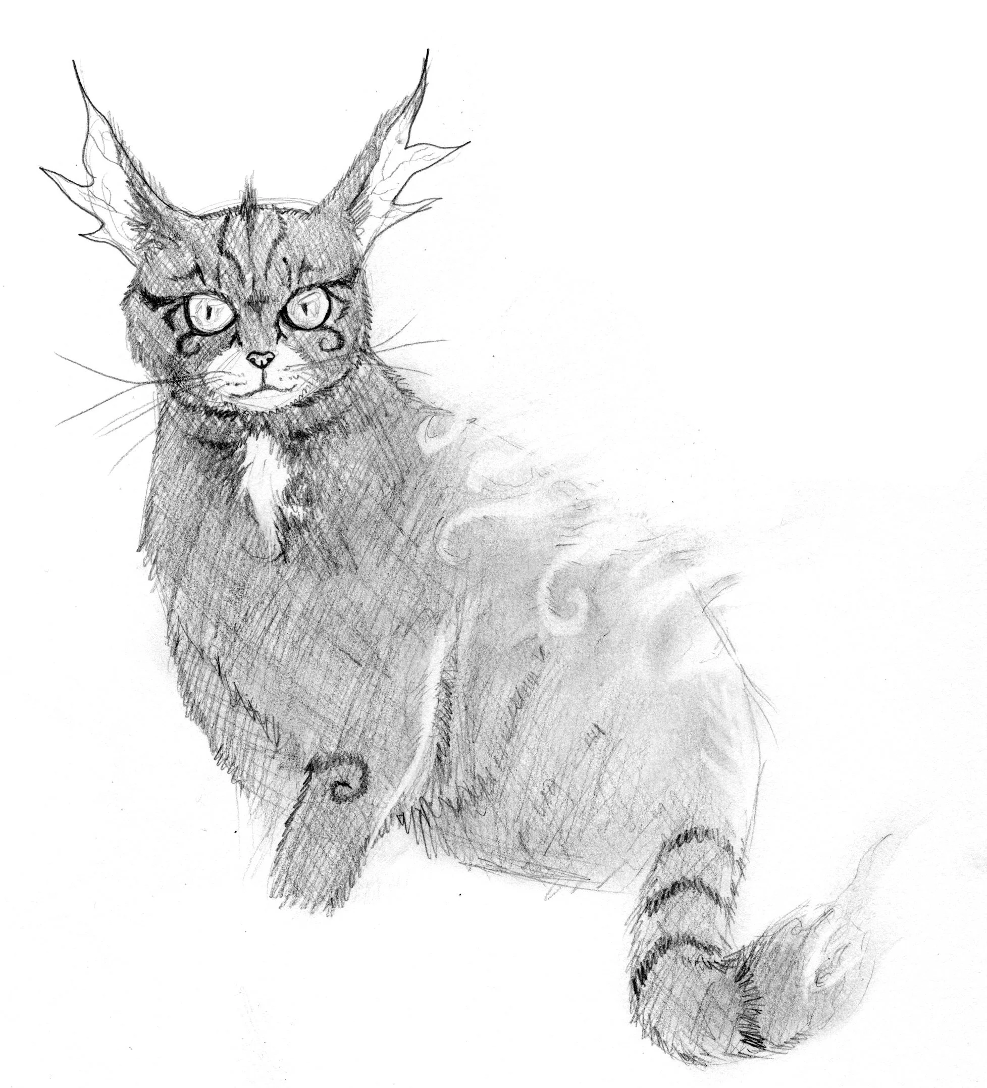 cat sidhe