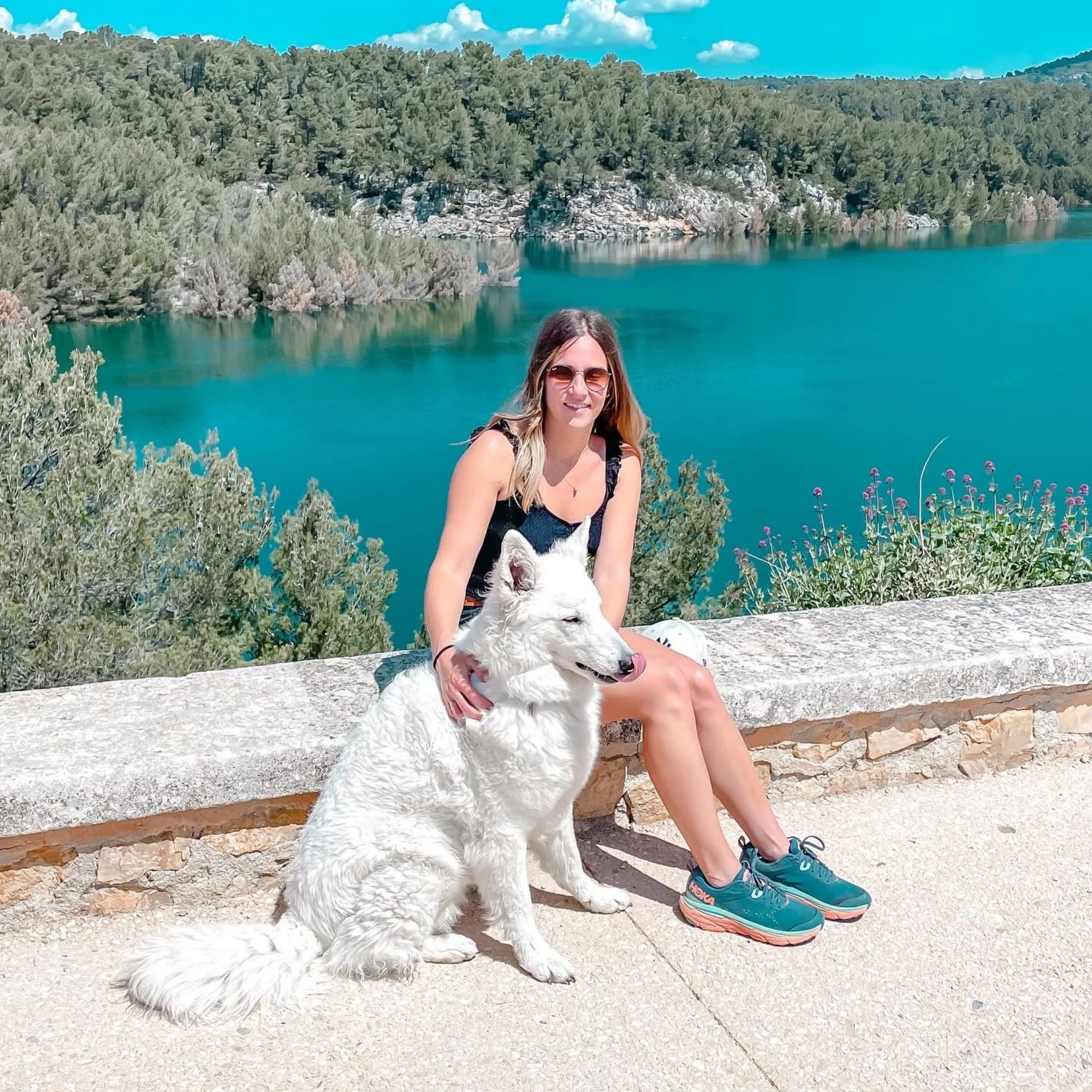 Chien en bord de lac