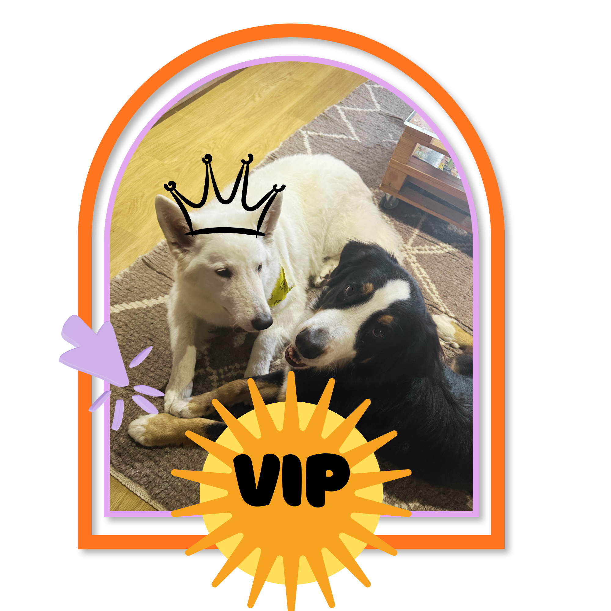 Services de garderie VIP