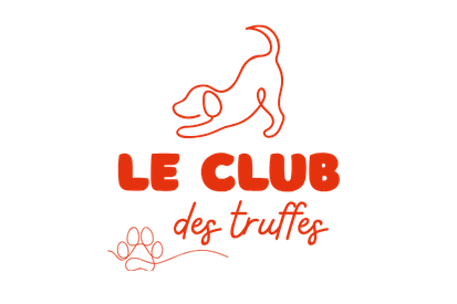 Titre de votre site