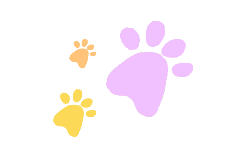 Empreintes de pattes de chien en violet, jaune et orange sur un fond noir.