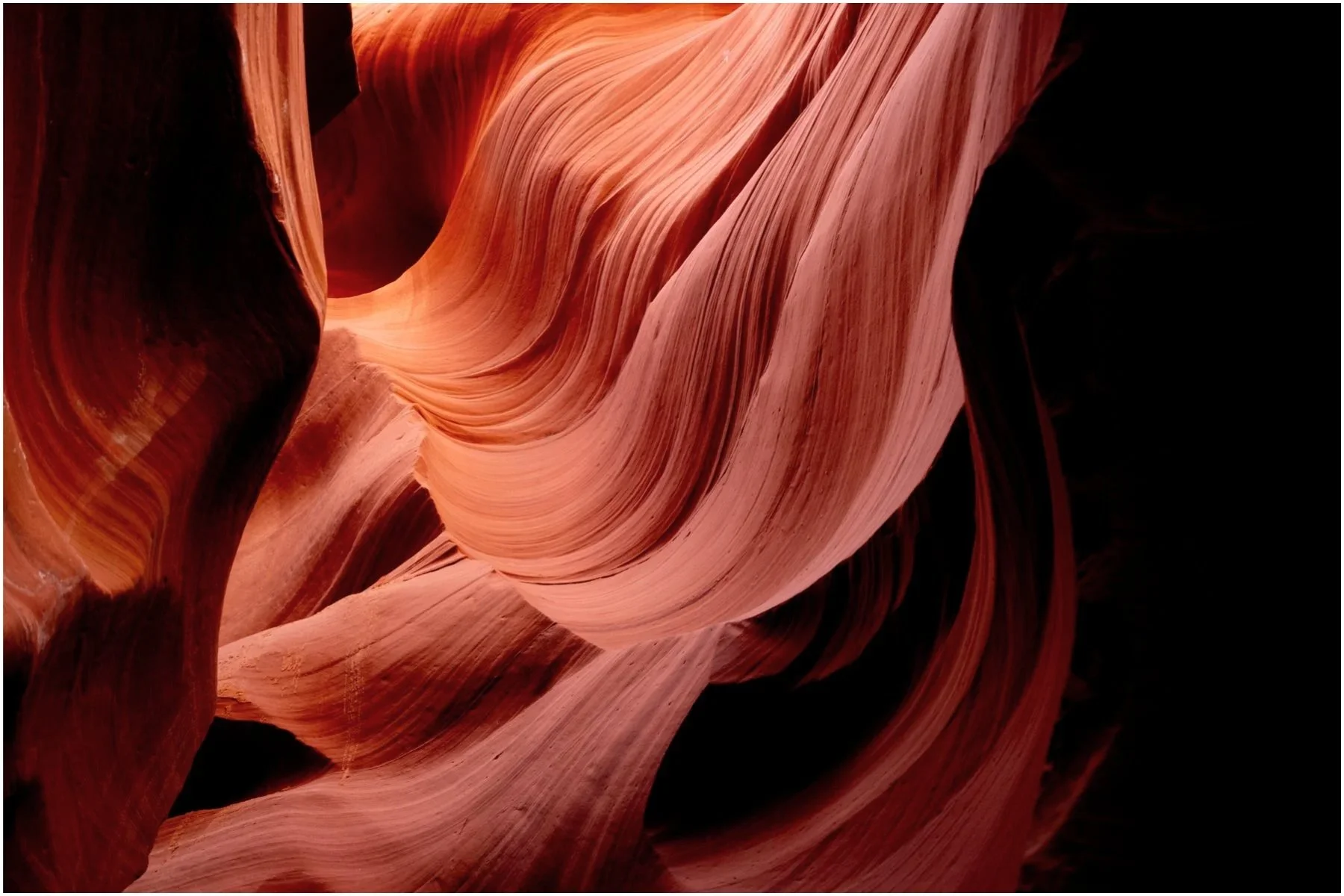 Emergent Form